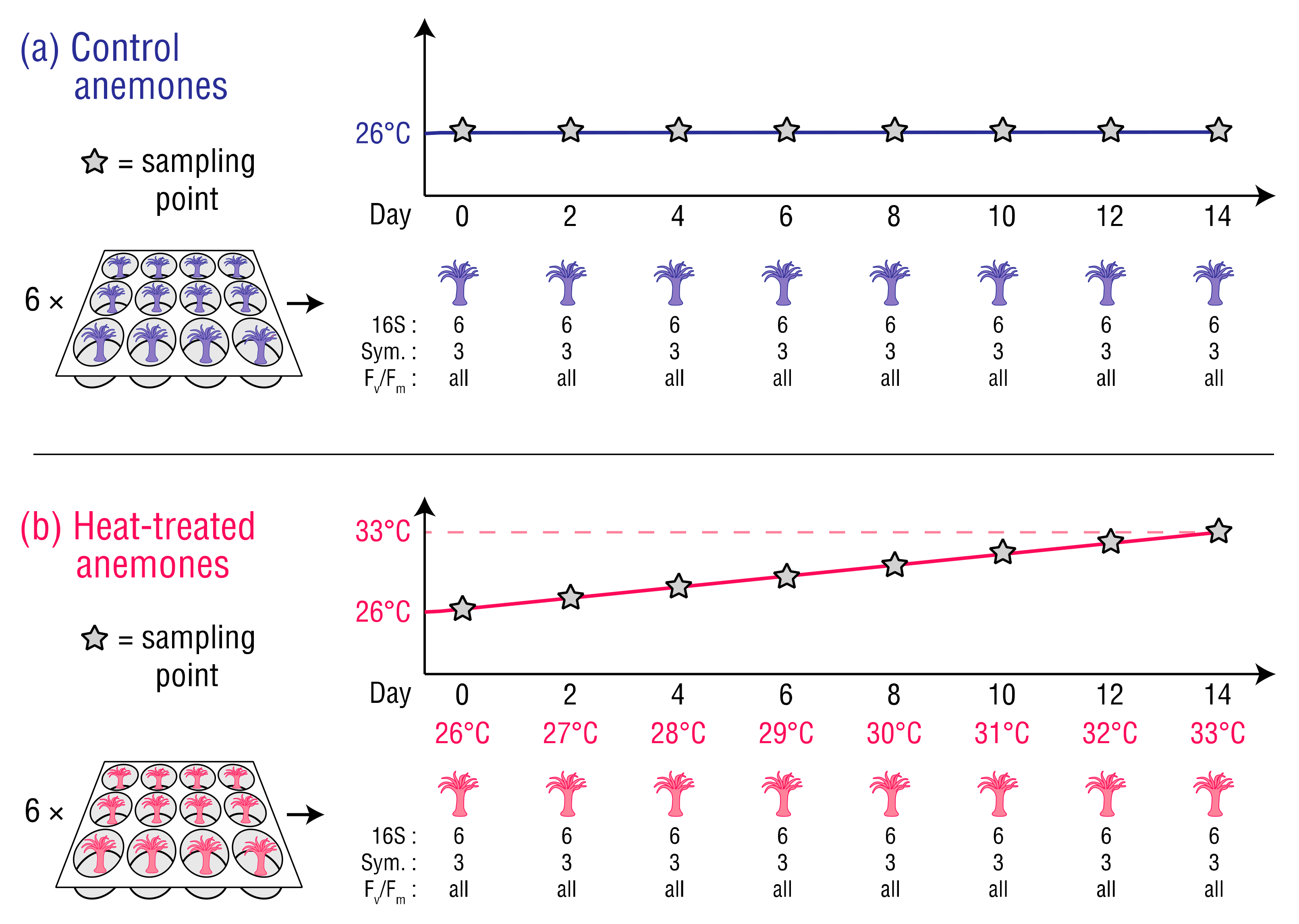 Microorganisms 08 00020 g001