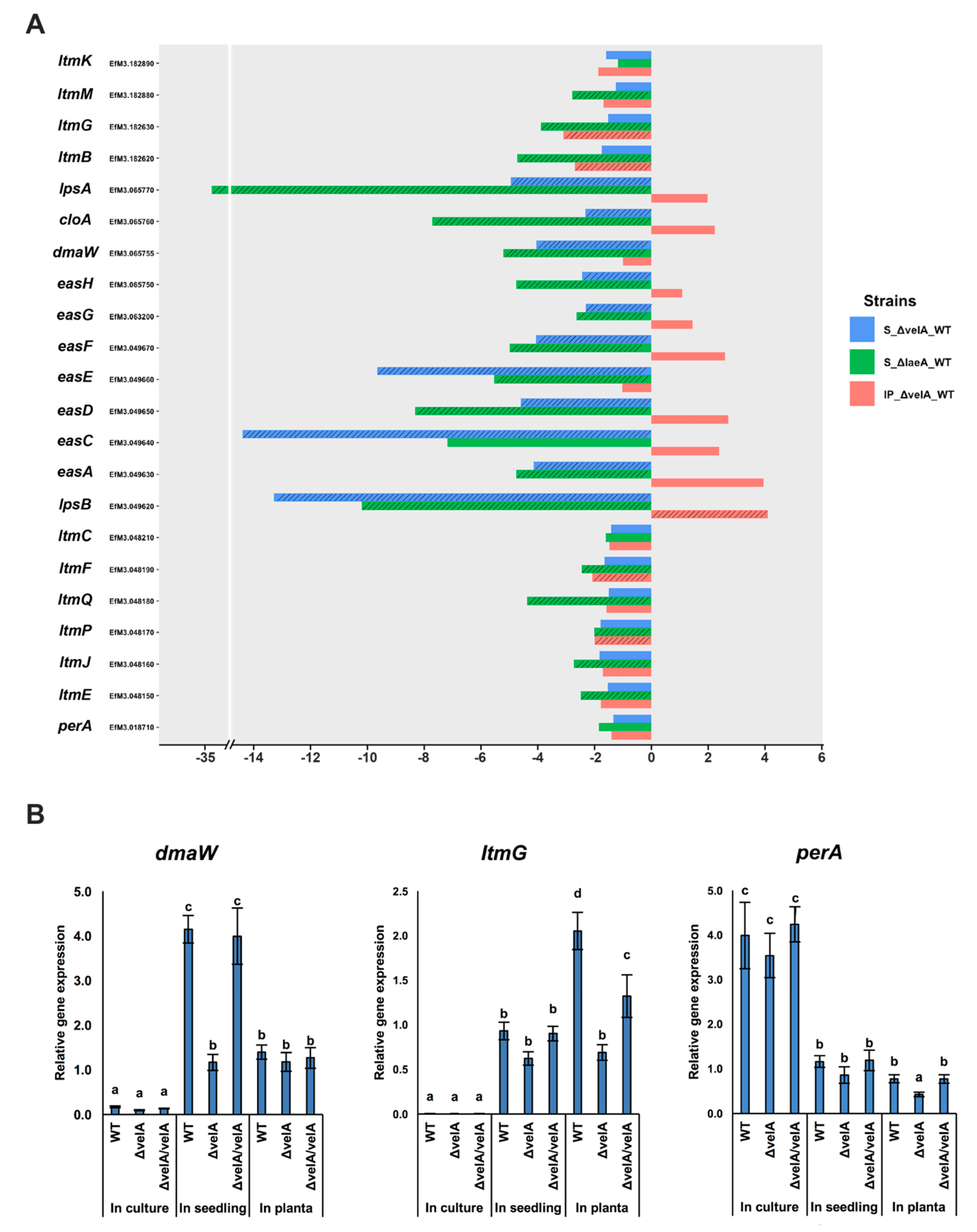 Microorganisms 08 00033 g003 Microorganisms 08 00033 g003