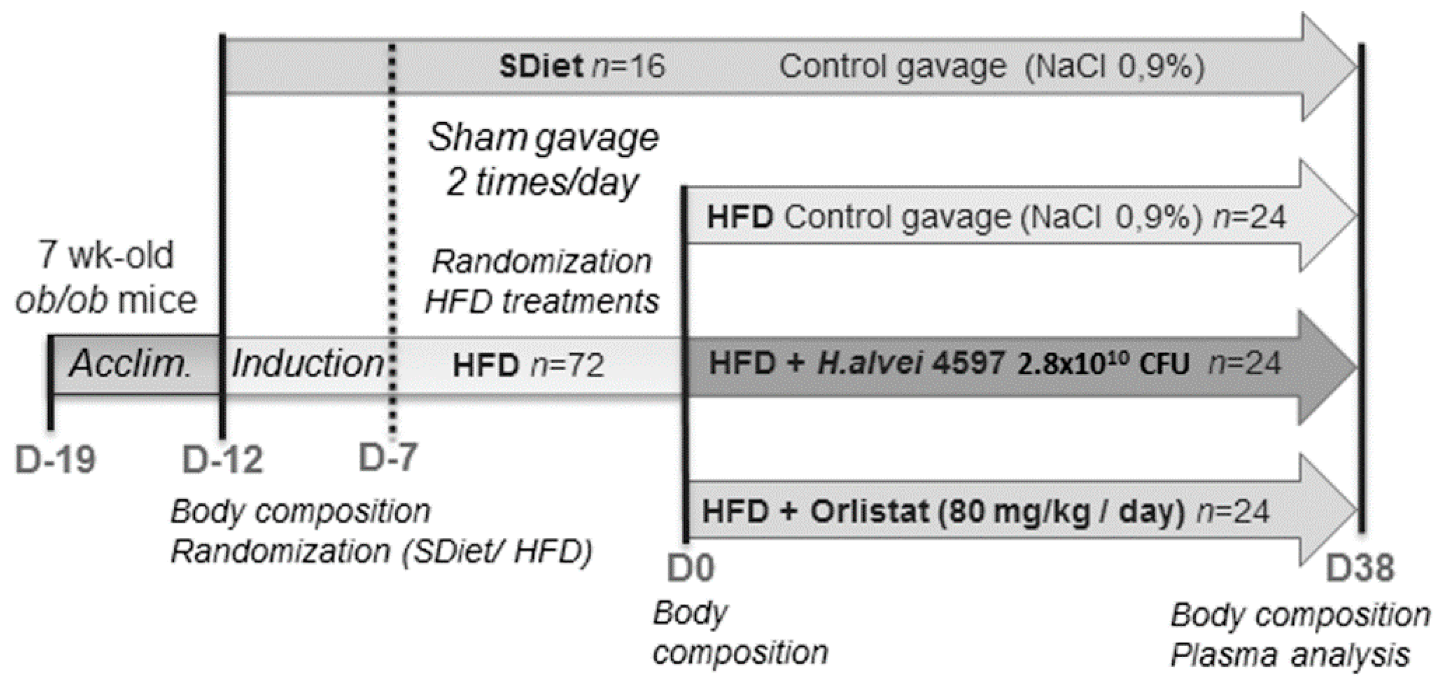 Microorganisms 08 00035 g001