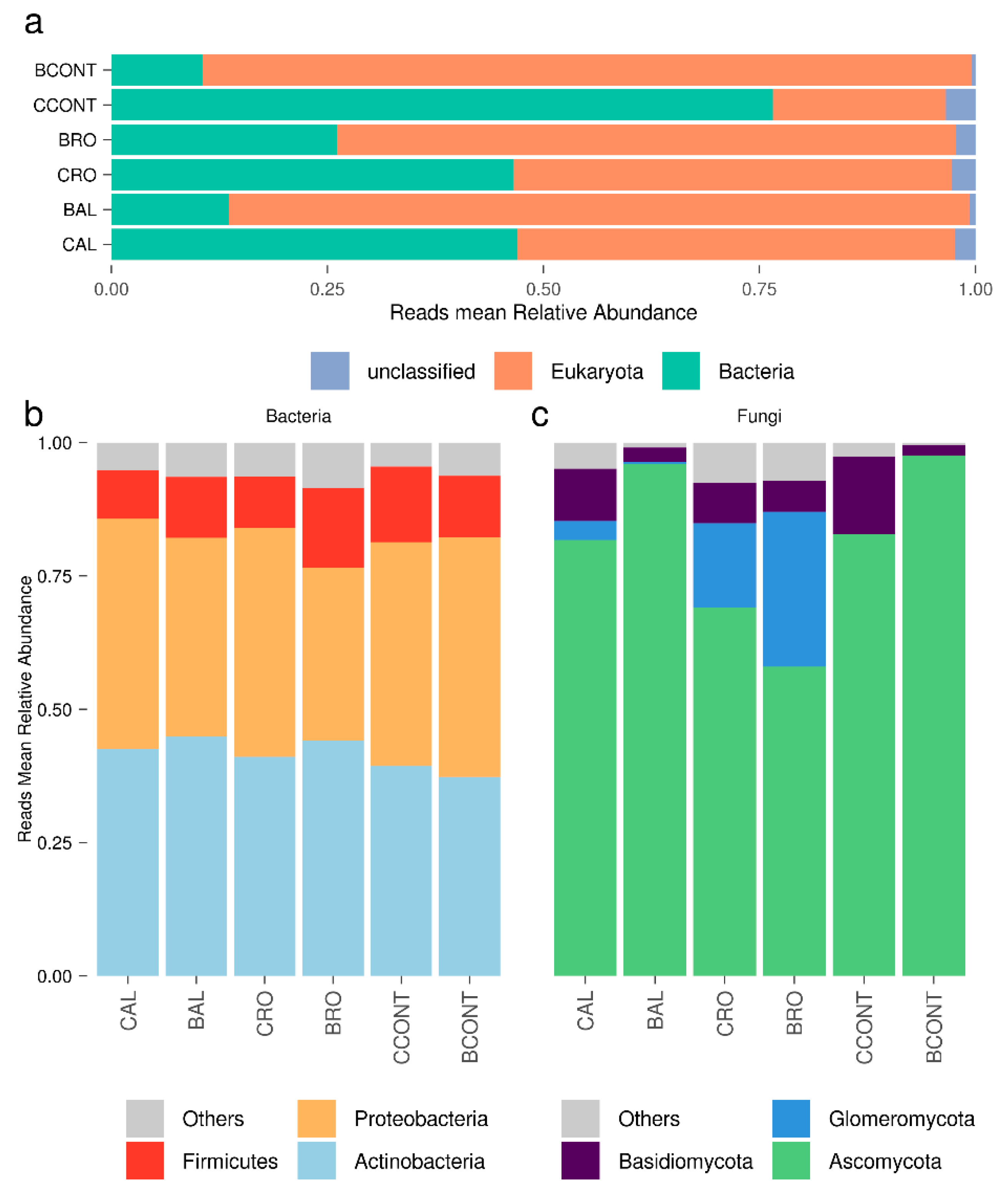 Microorganisms 08 00038 g001