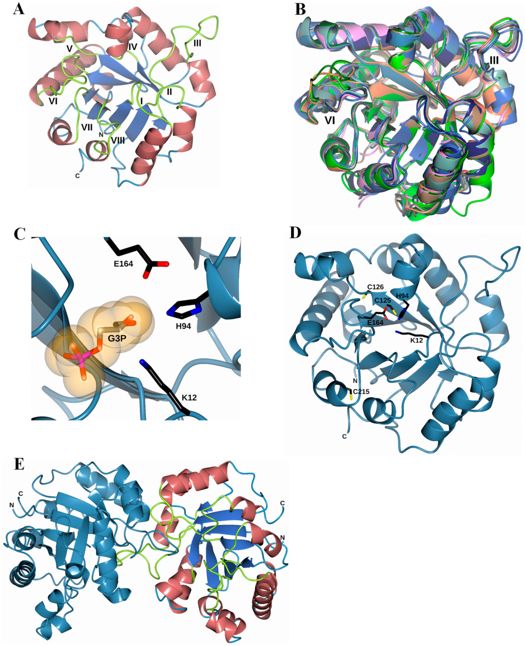 Microorganisms 08 00040 g009 Microorganisms 08 00040 g009