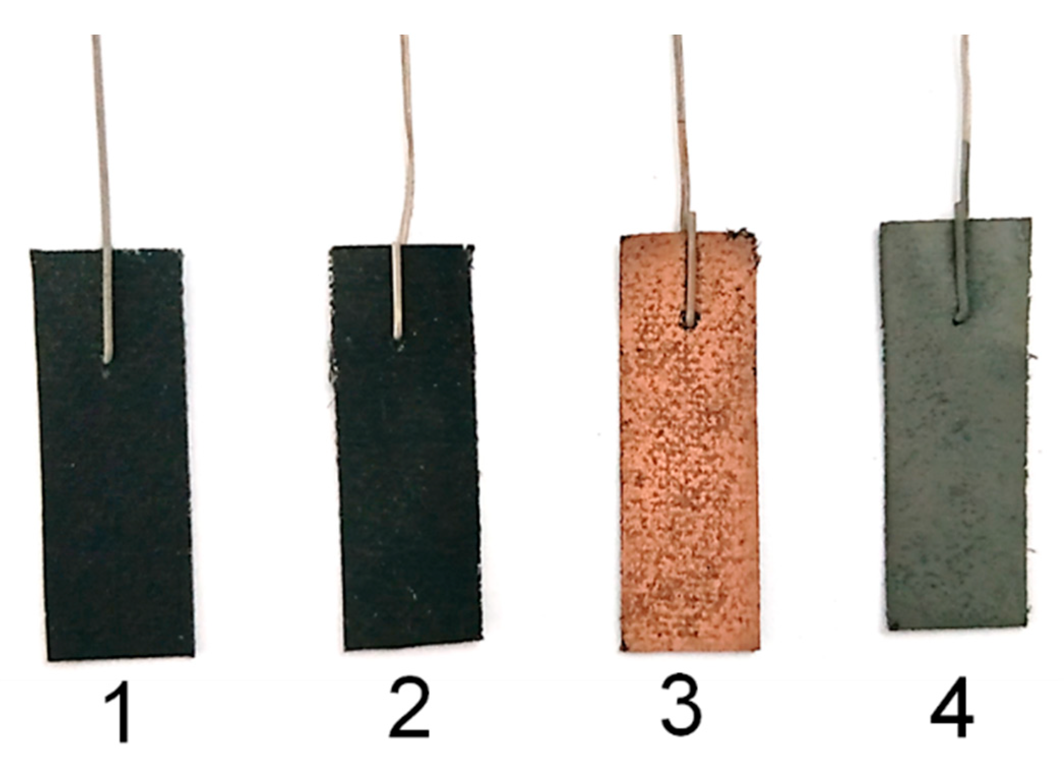 Microorganisms 08 00041 g008