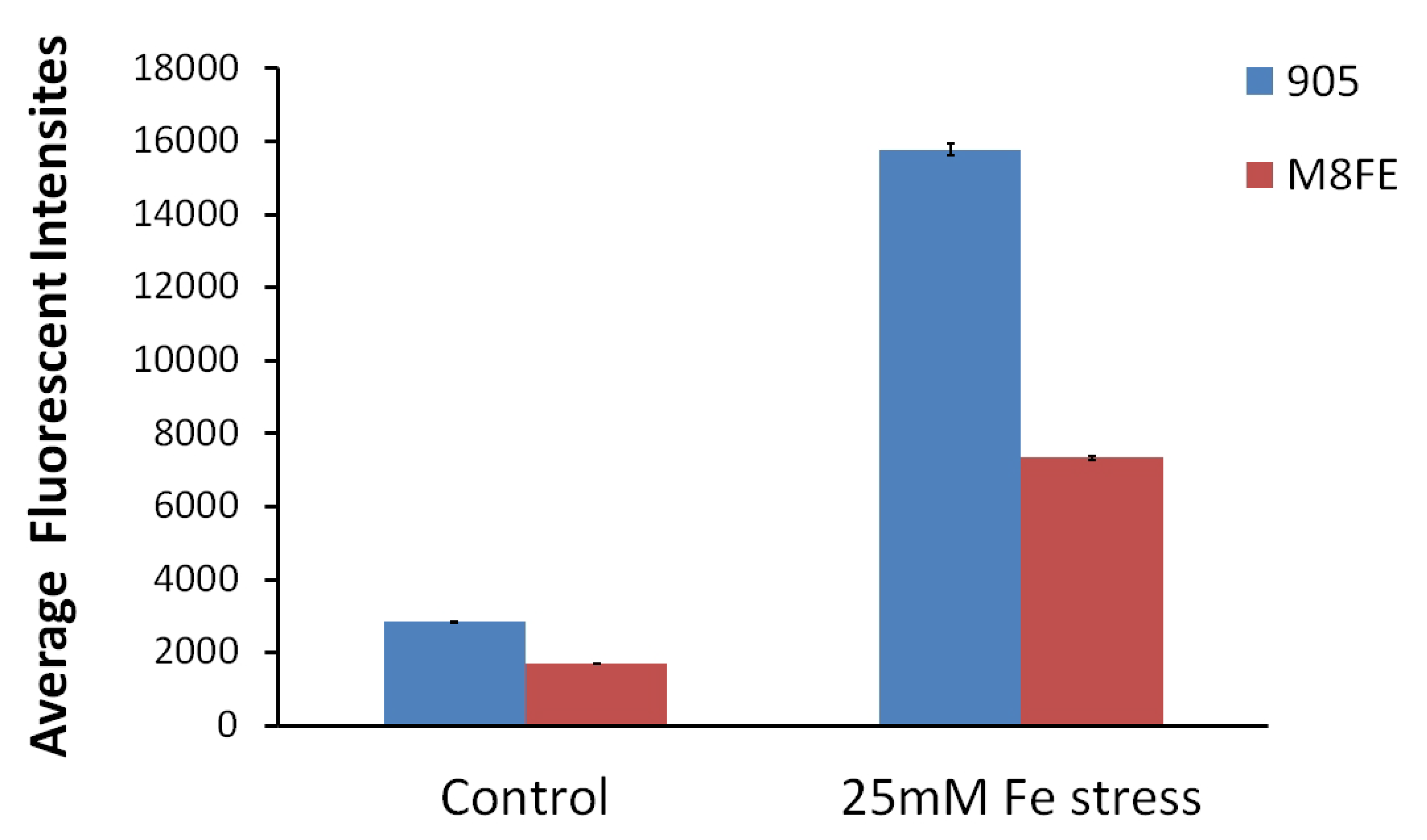 Microorganisms 08 00043 g006