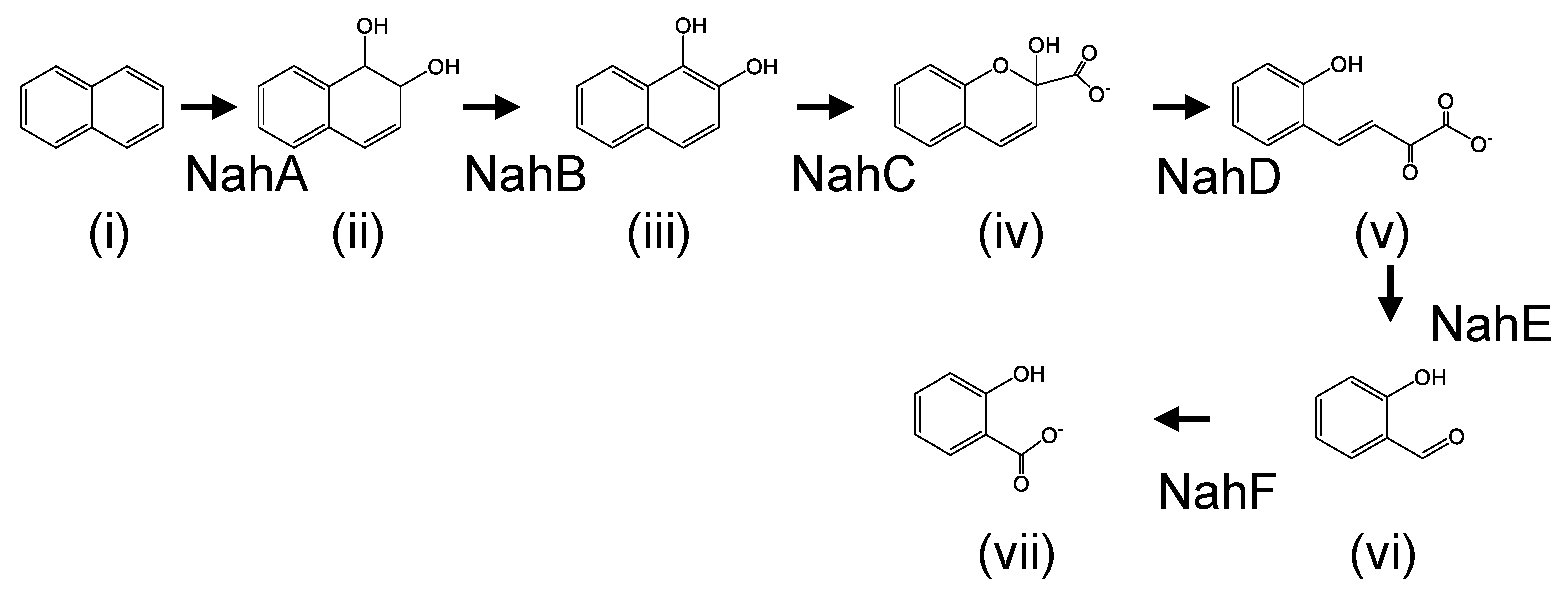 Microorganisms 08 00044 g001 Microorganisms 08 00044 g001