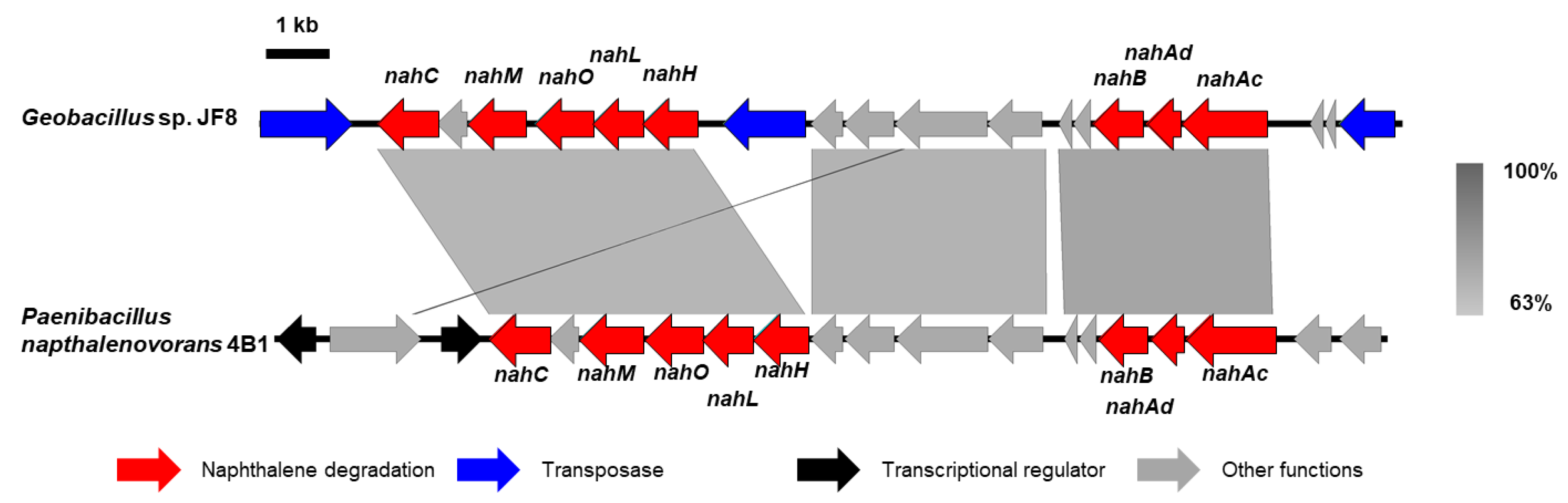 Microorganisms 08 00044 g005 Microorganisms 08 00044 g005