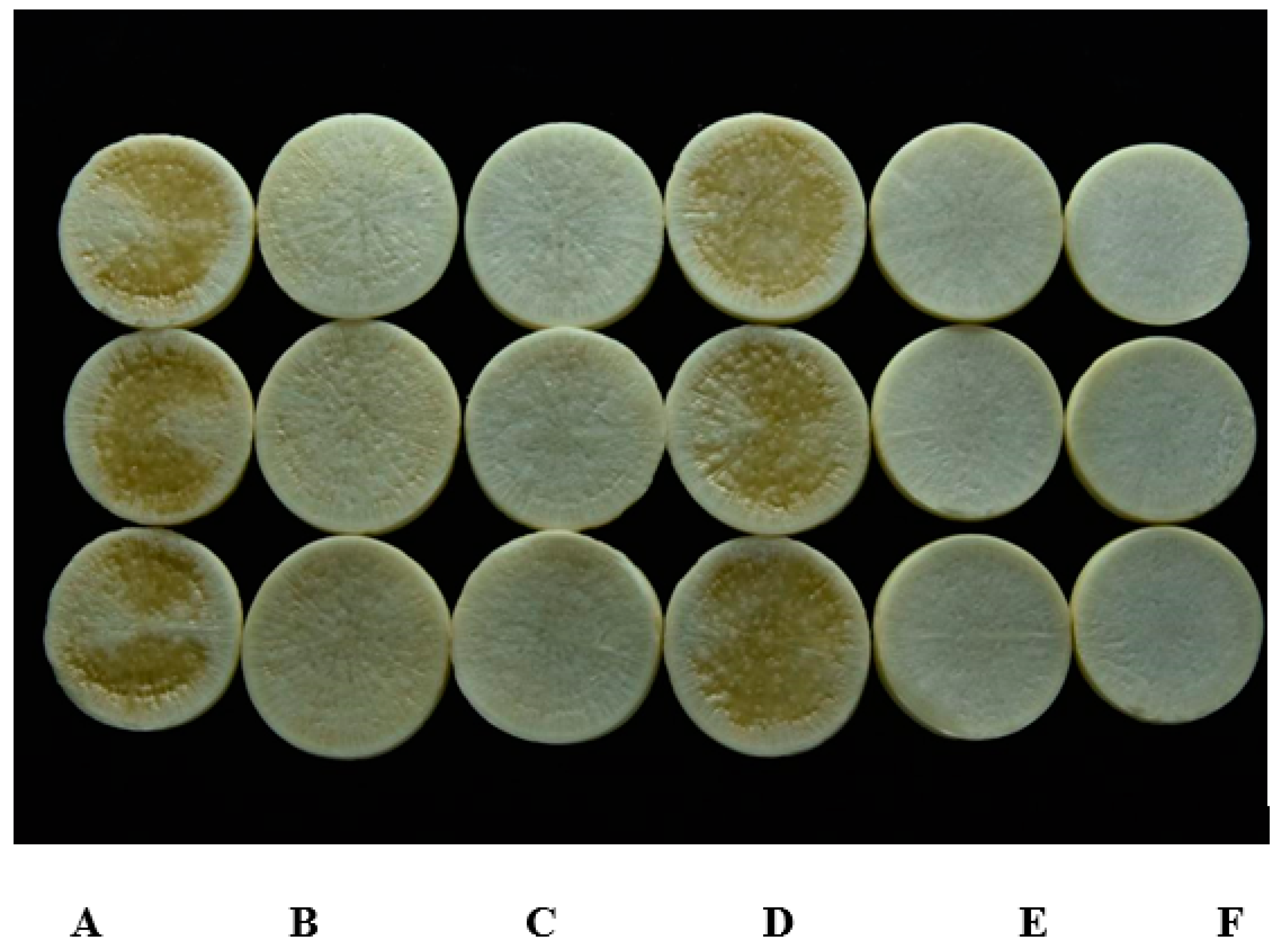 Microorganisms 08 00045 g006 Microorganisms 08 00045 g006