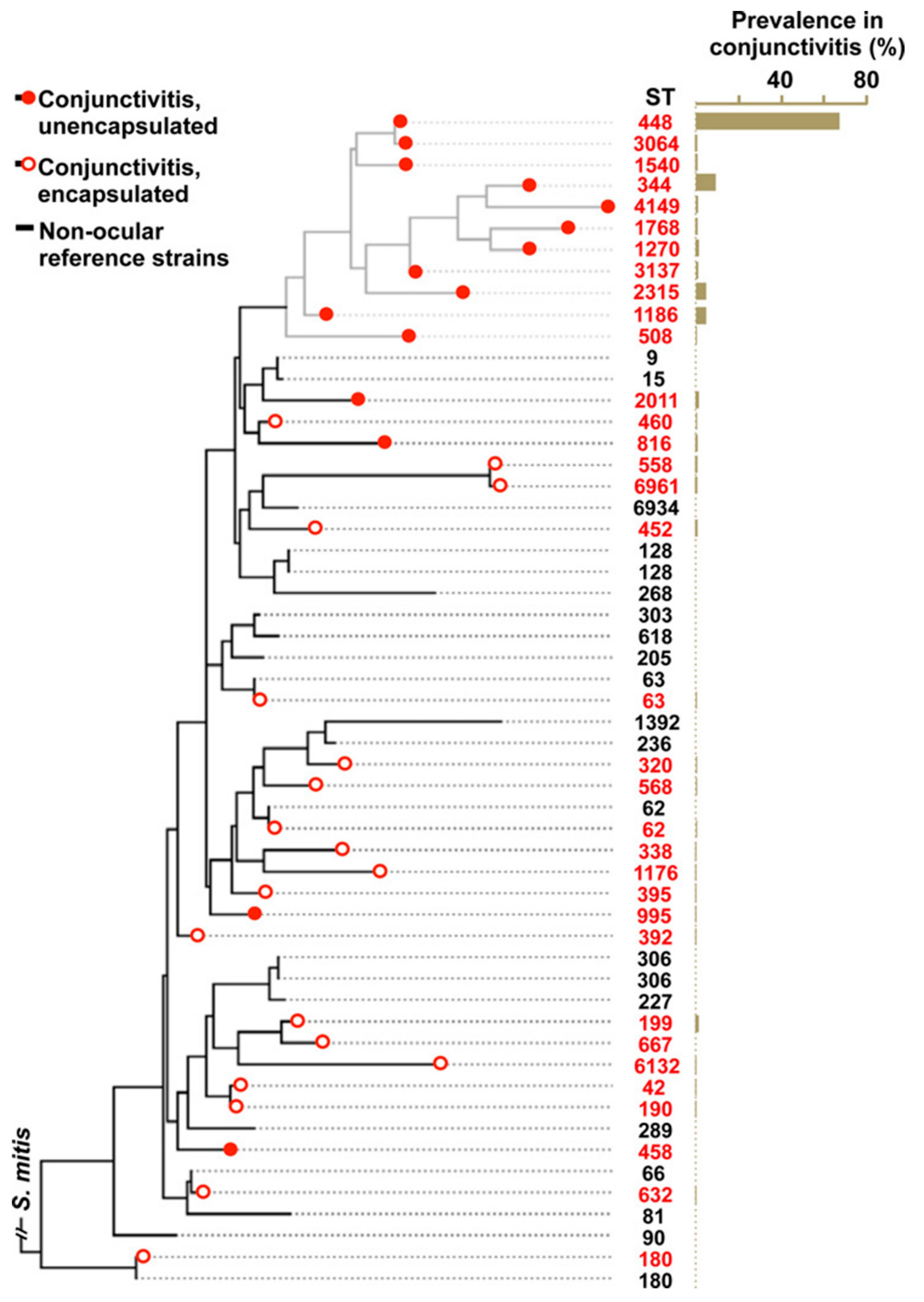 Microorganisms 08 00046 g002