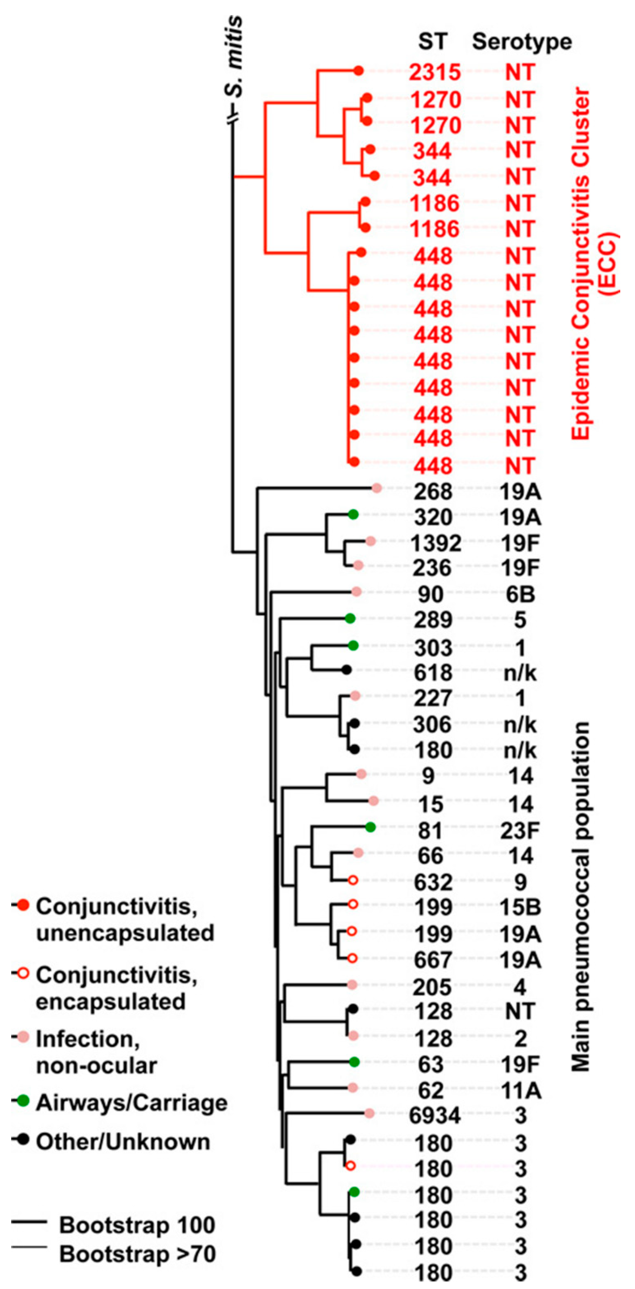 Microorganisms 08 00046 g003