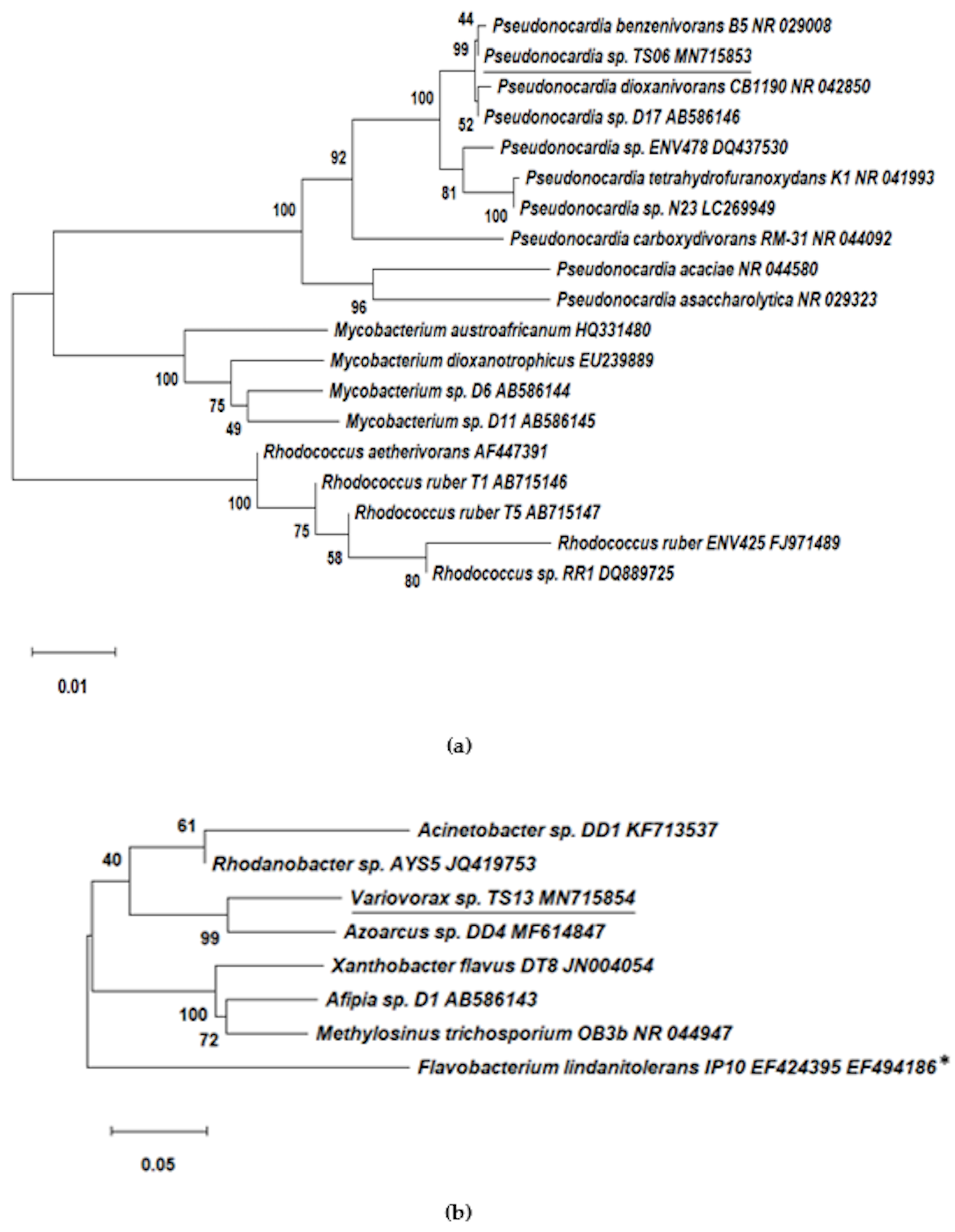 Microorganisms 08 00050 g002