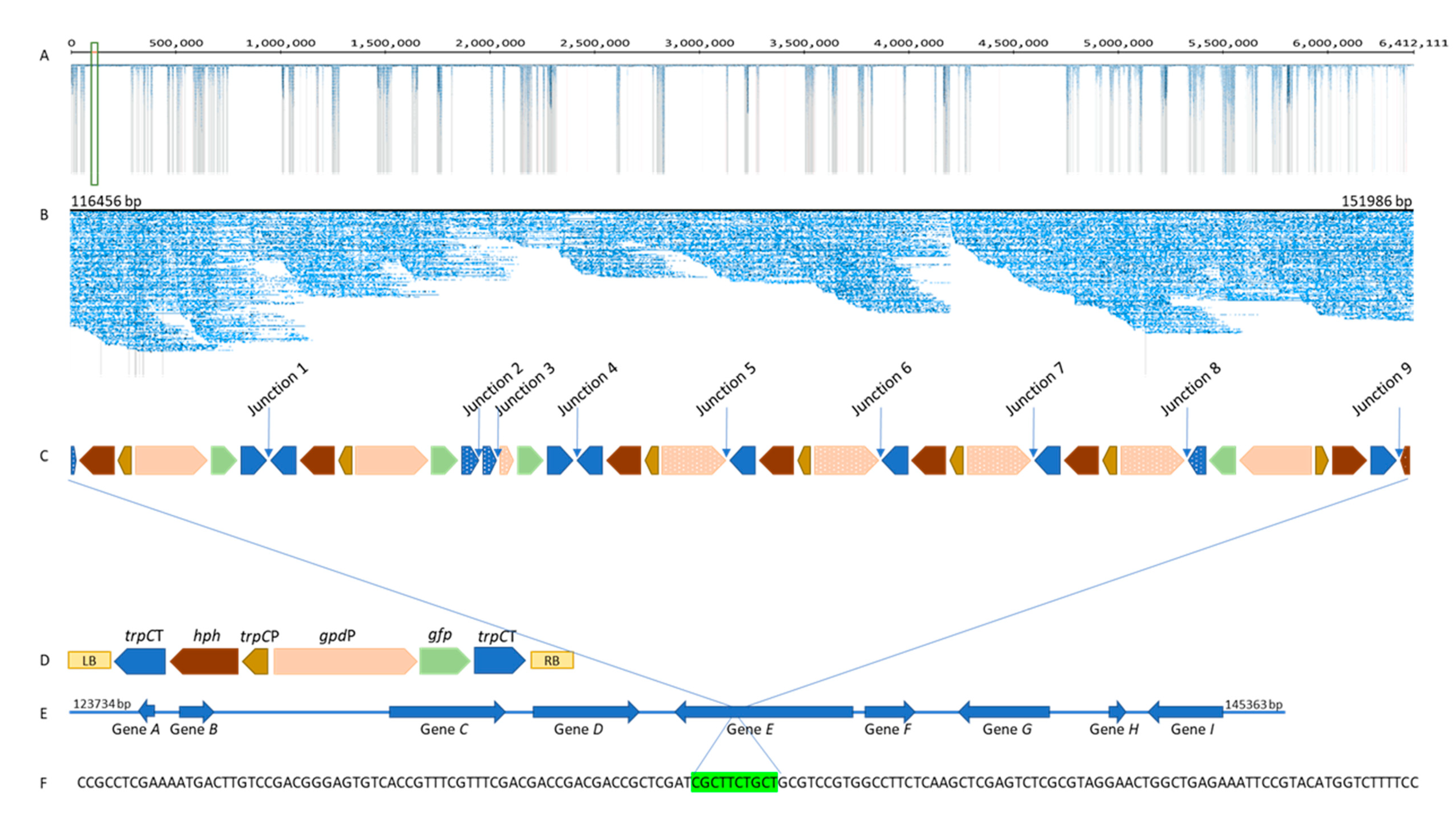 Microorganisms 08 00054 g003 Microorganisms 08 00054 g003