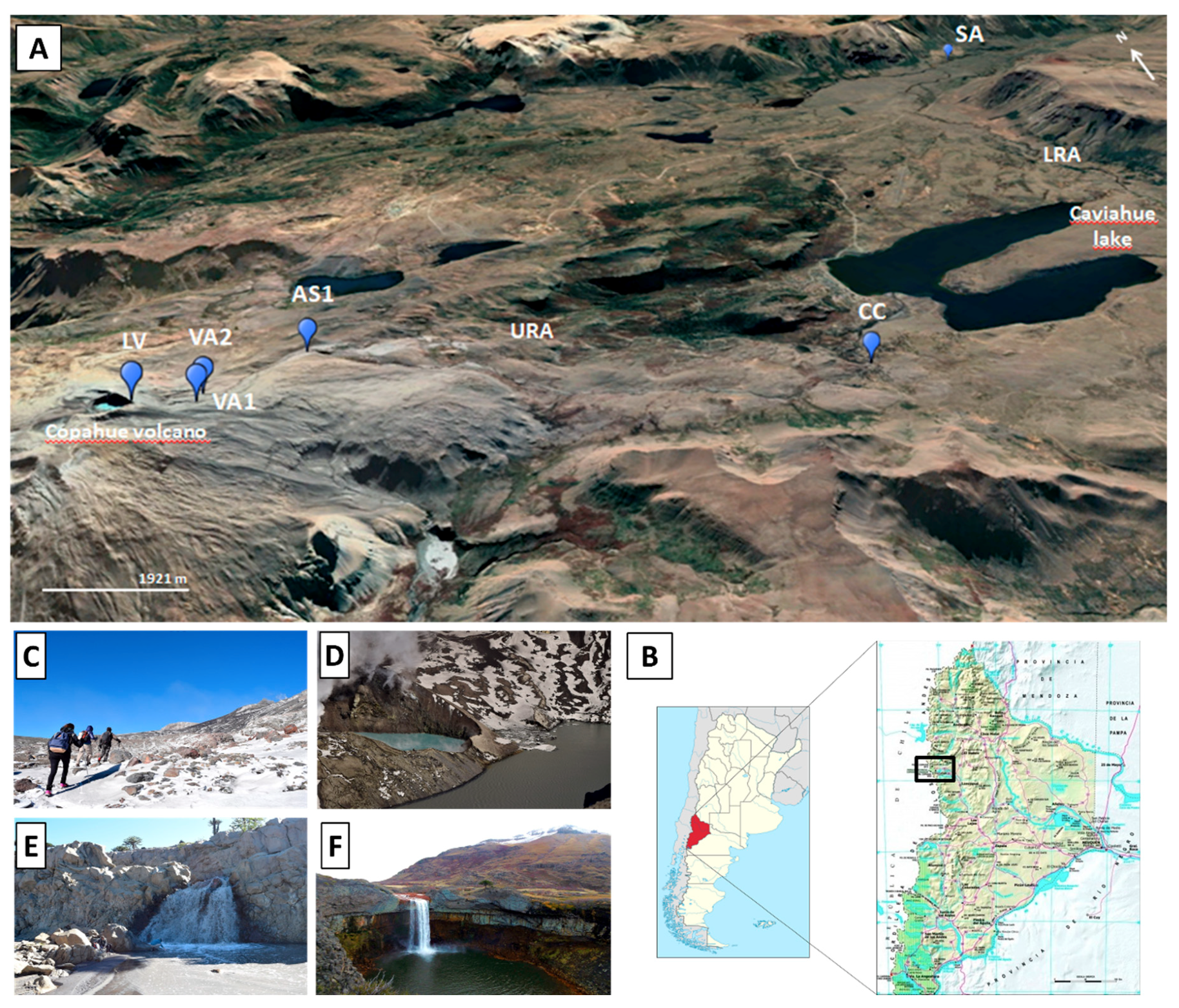 Microorganisms 08 00058 g001