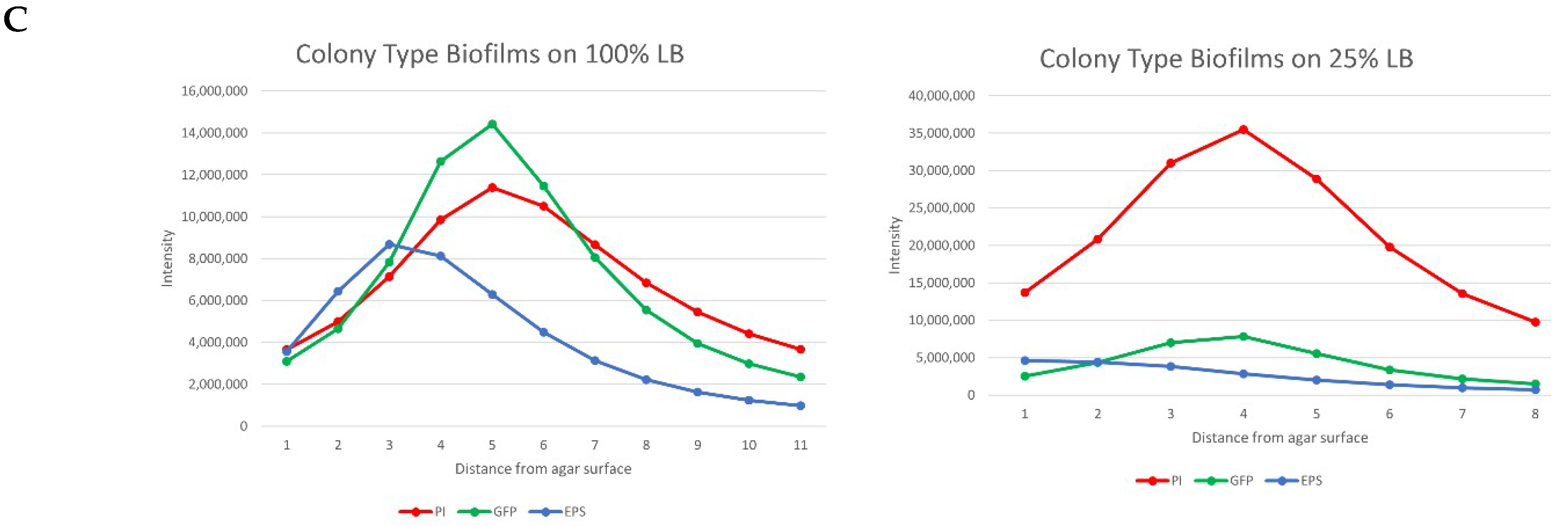 Microorganisms 08 00062 g001c Microorganisms 08 00062 g001c