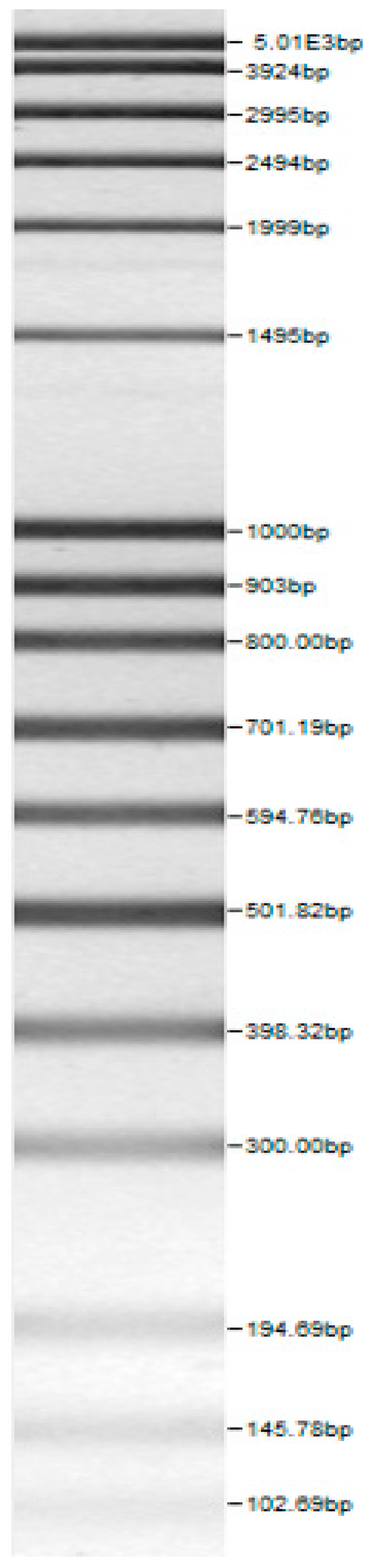 Microorganisms 08 00064 i001 Microorganisms 08 00064 i001