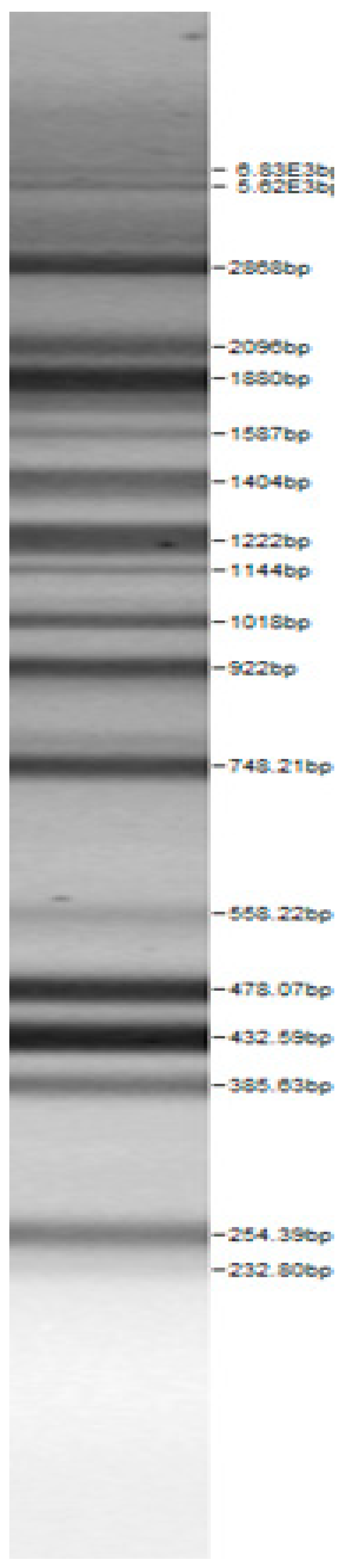 Microorganisms 08 00064 i002 Microorganisms 08 00064 i002