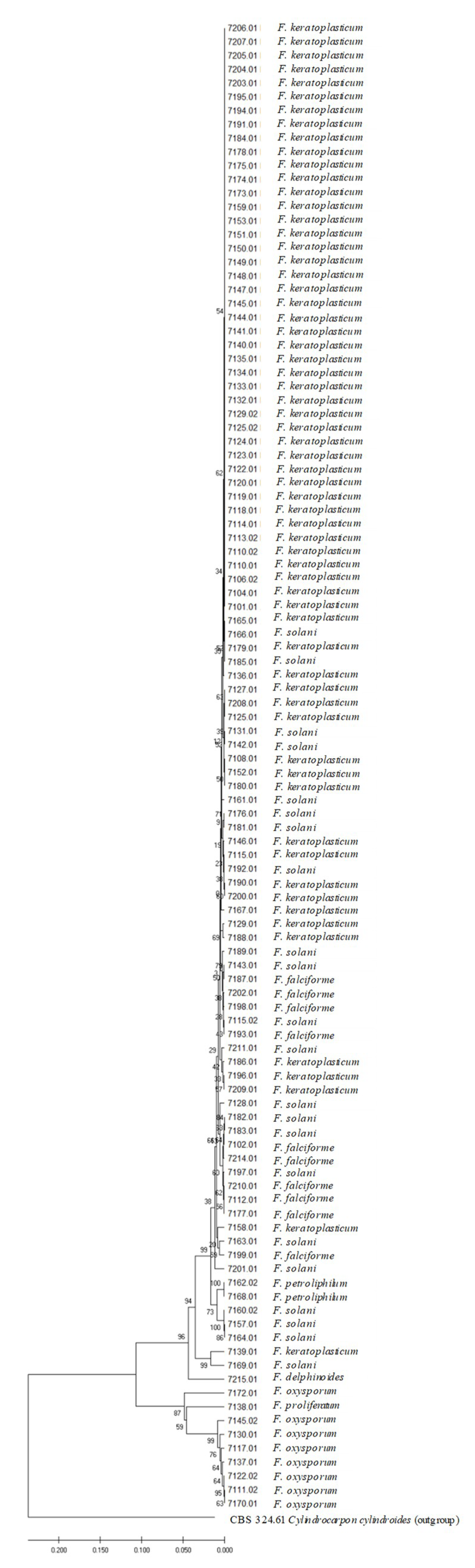 Microorganisms 08 00066 g002 Microorganisms 08 00066 g002
