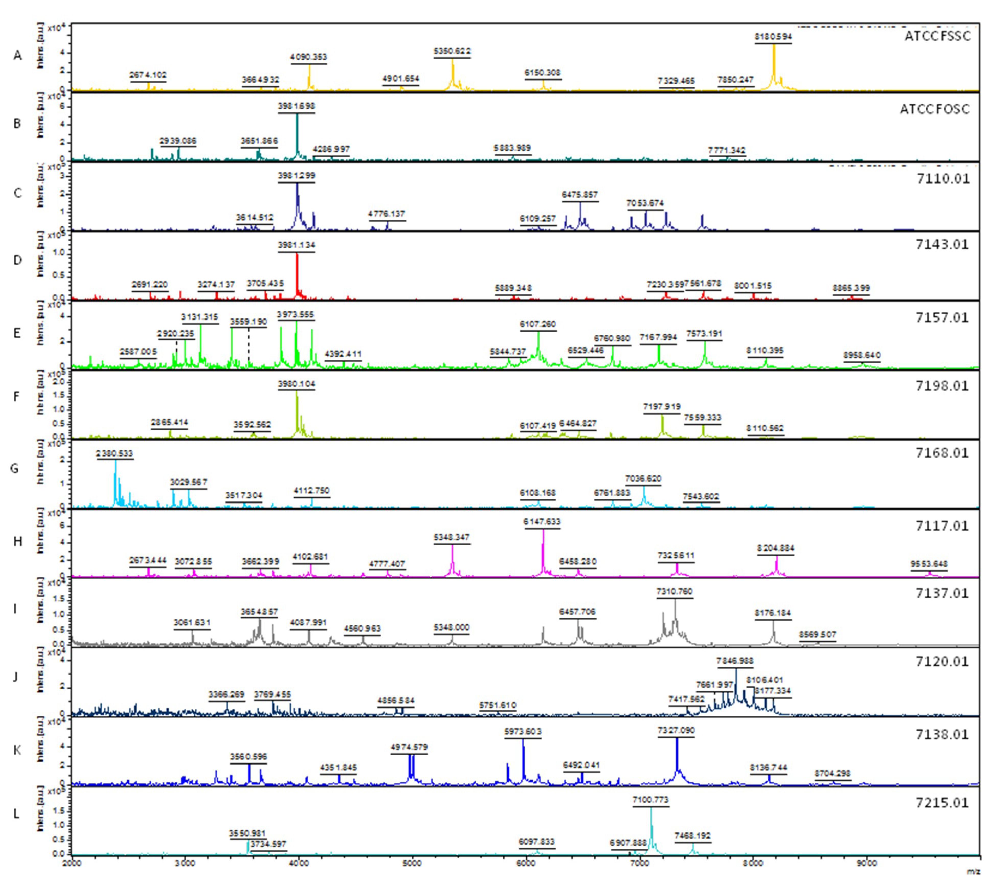 Microorganisms 08 00066 g003 Microorganisms 08 00066 g003