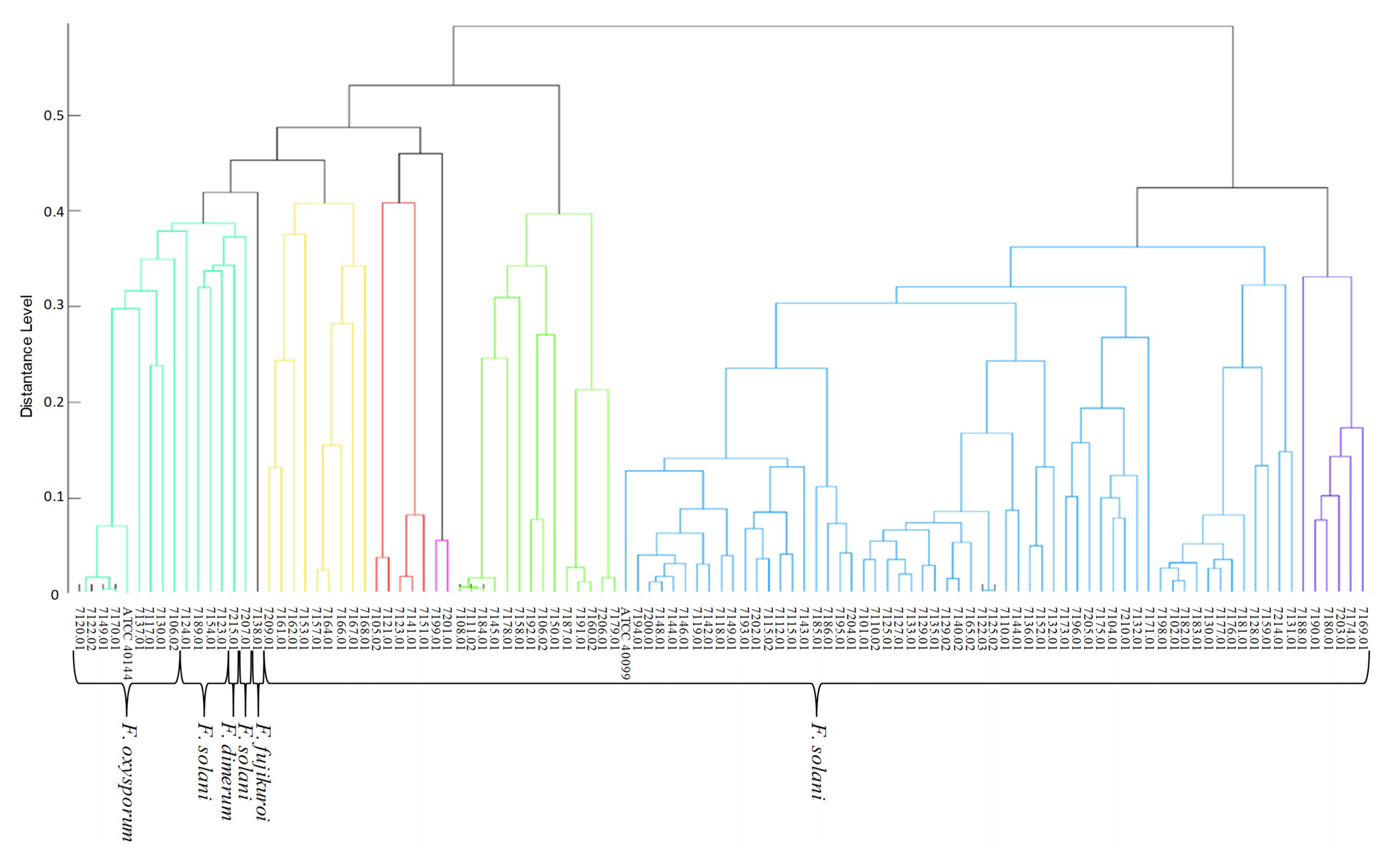 Microorganisms 08 00066 g004 Microorganisms 08 00066 g004