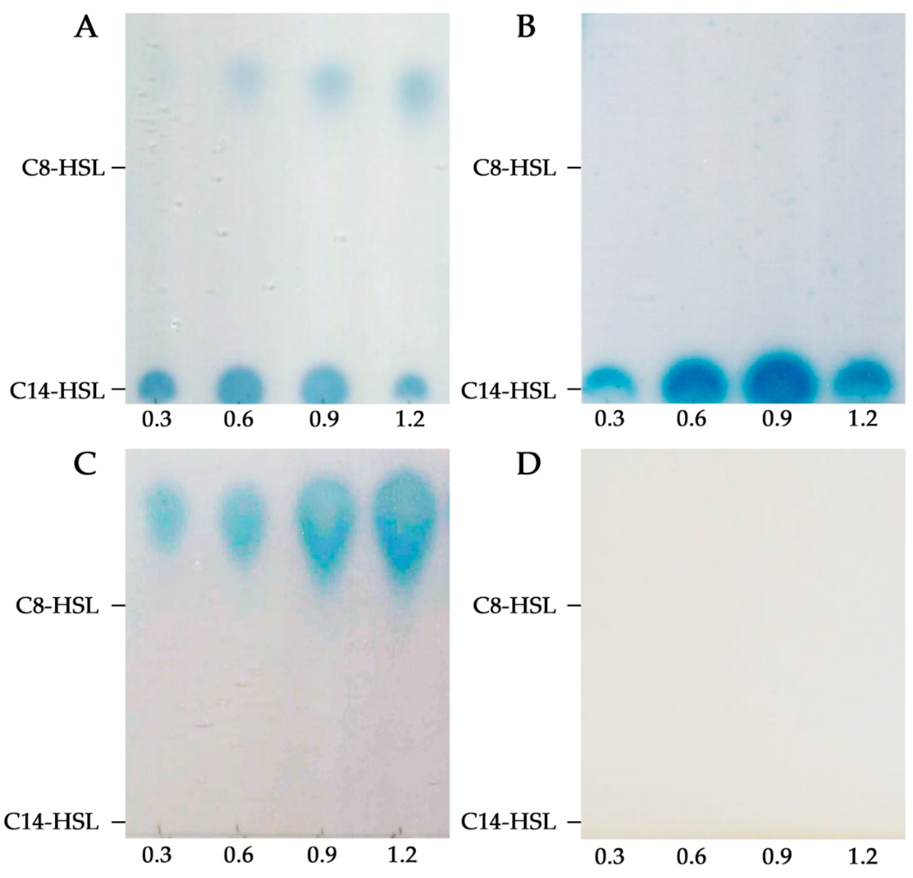 Microorganisms 08 00068 g001 Microorganisms 08 00068 g001