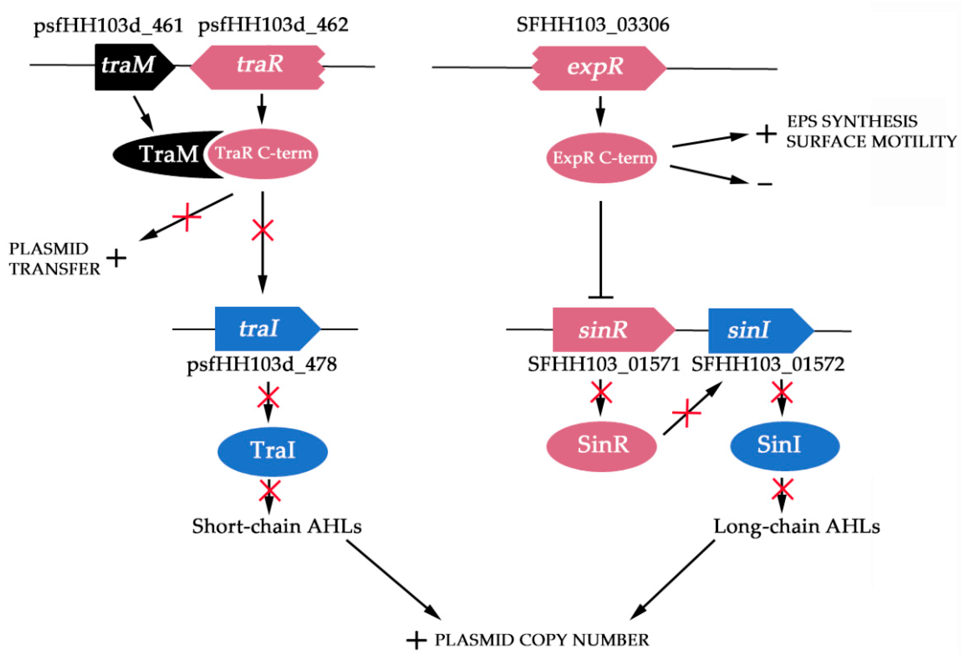Microorganisms 08 00068 g003 Microorganisms 08 00068 g003