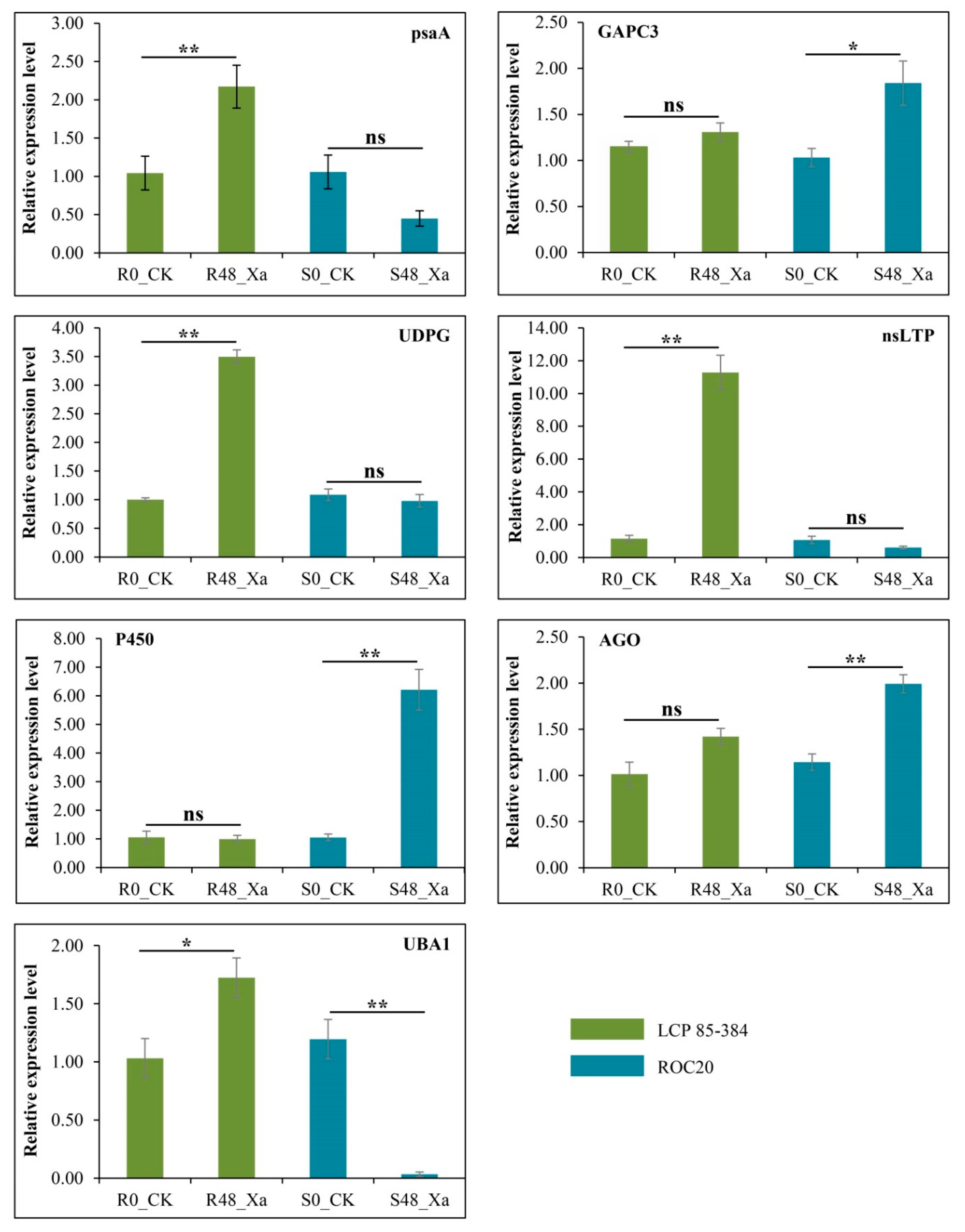 Microorganisms 08 00076 g006 Microorganisms 08 00076 g006