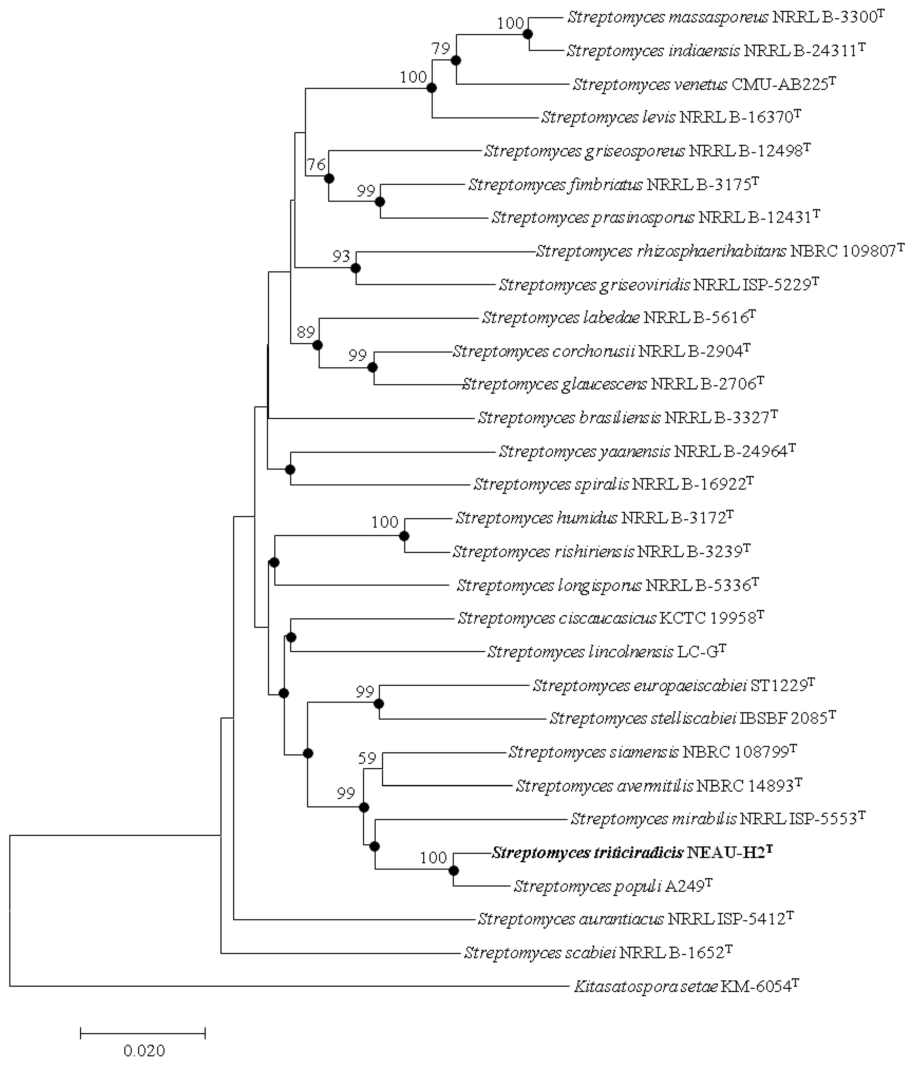 Microorganisms 08 00077 g003