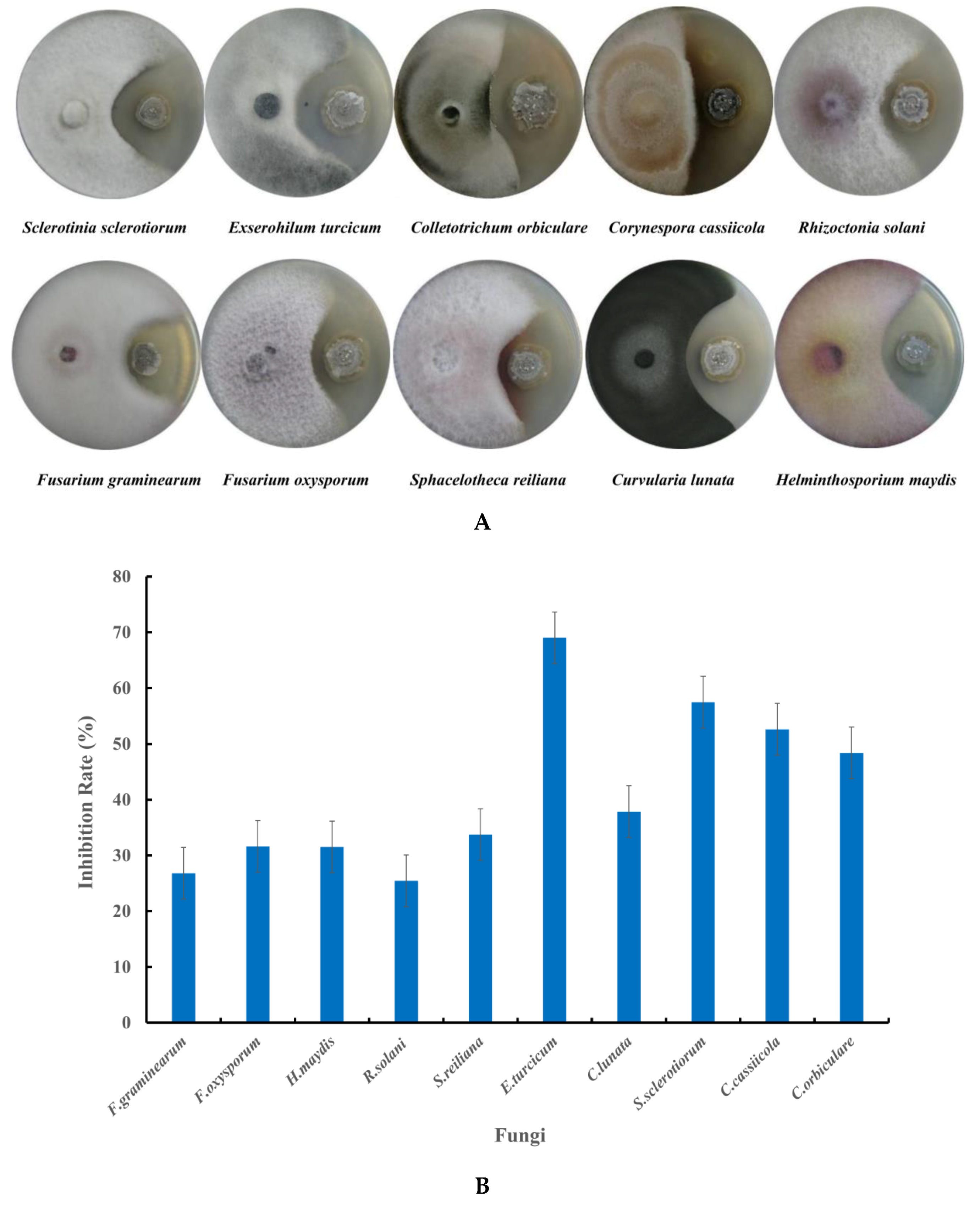 Microorganisms 08 00077 g004