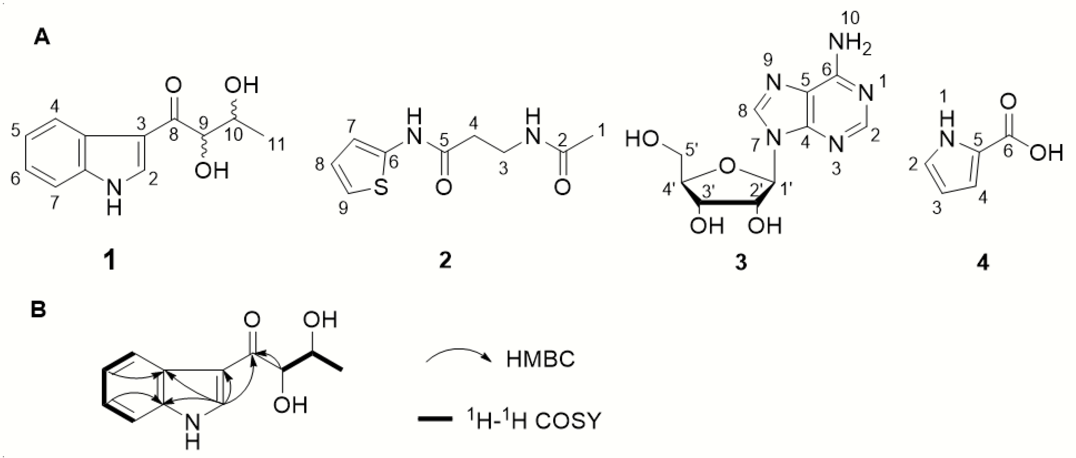 Microorganisms 08 00077 g005