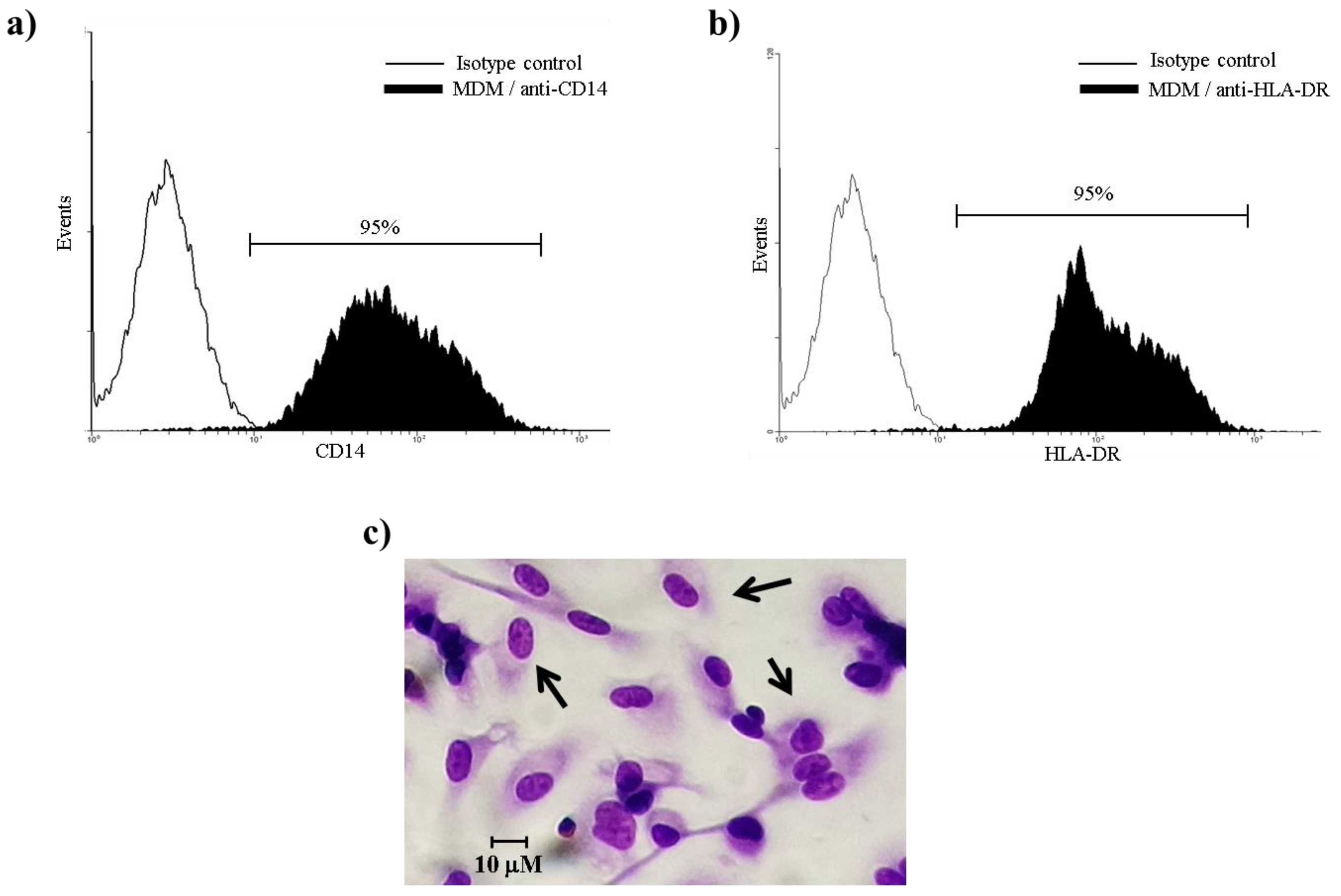 Microorganisms 08 00079 g001 Microorganisms 08 00079 g001