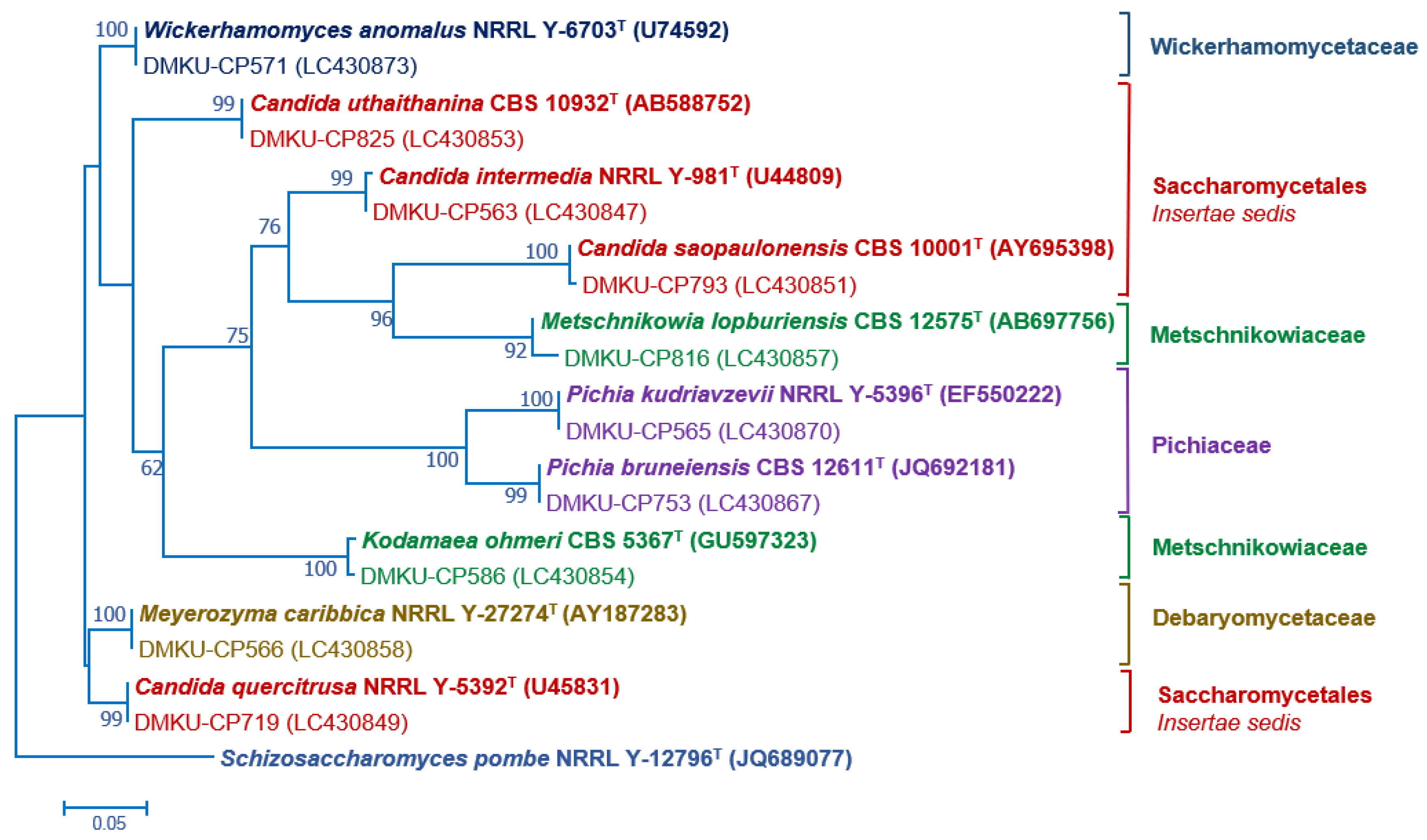 Microorganisms 08 00080 g002 Microorganisms 08 00080 g002