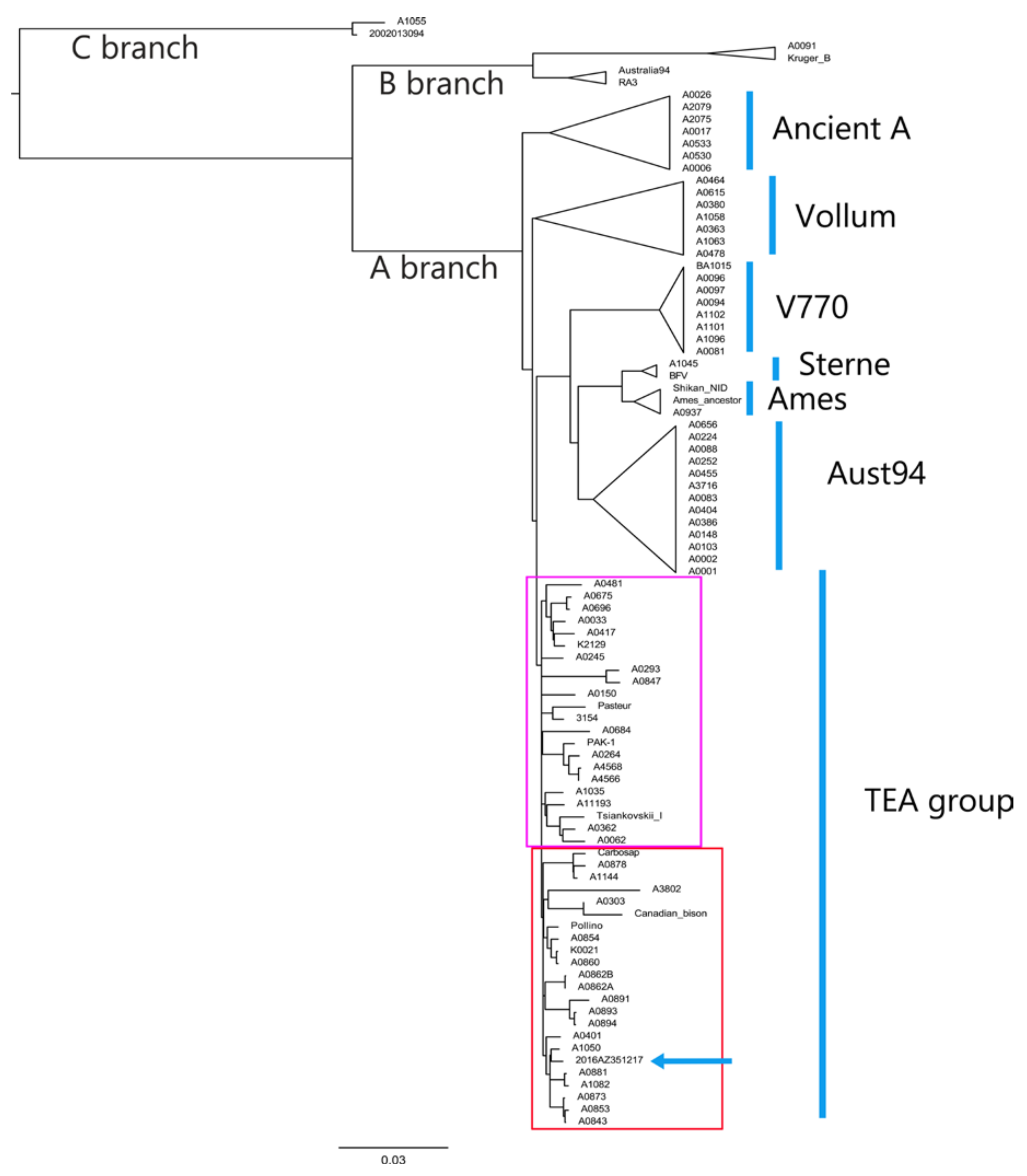 Microorganisms 08 00087 g001 Microorganisms 08 00087 g001