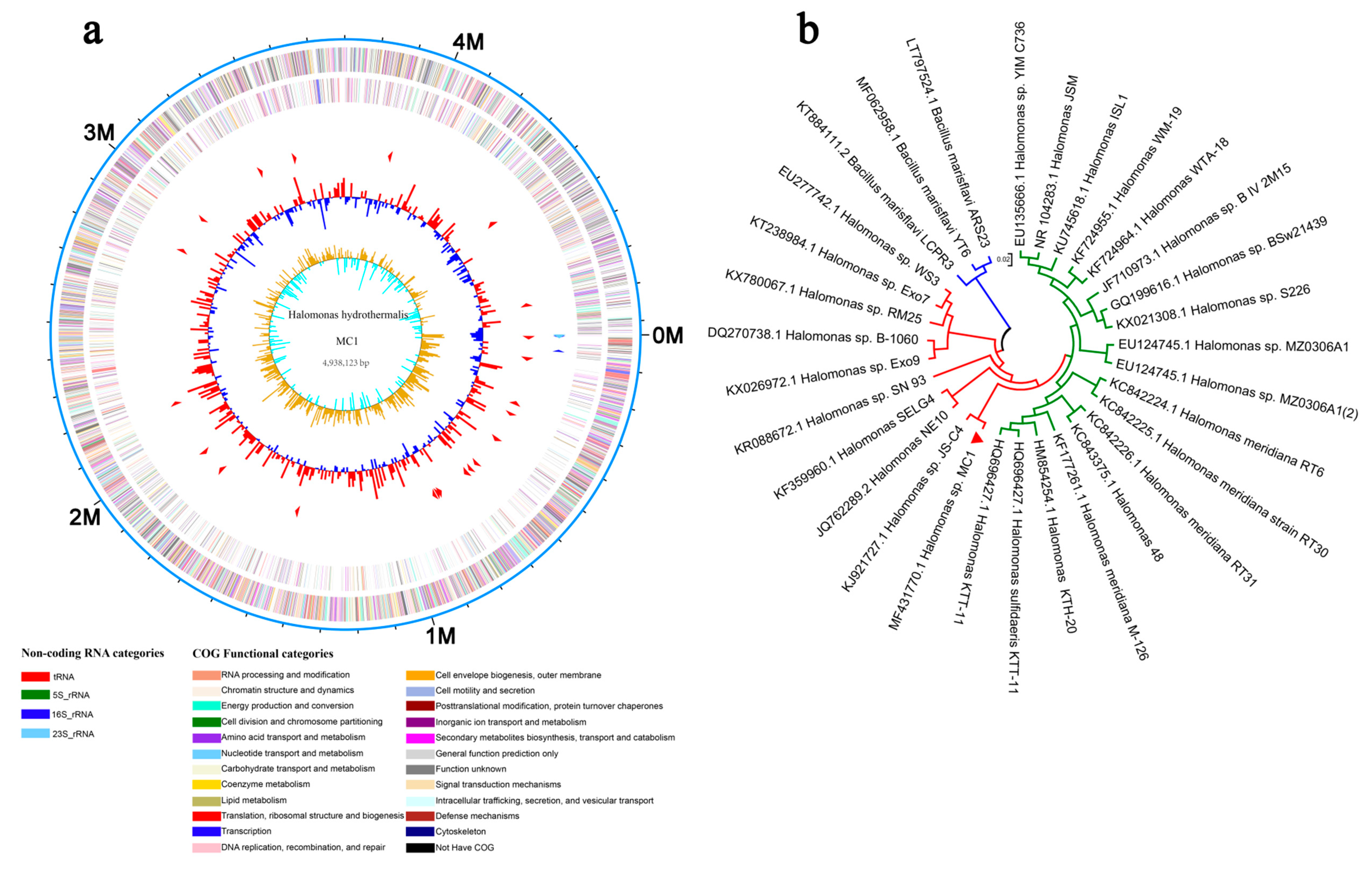Microorganisms 08 00088 g001 Microorganisms 08 00088 g001