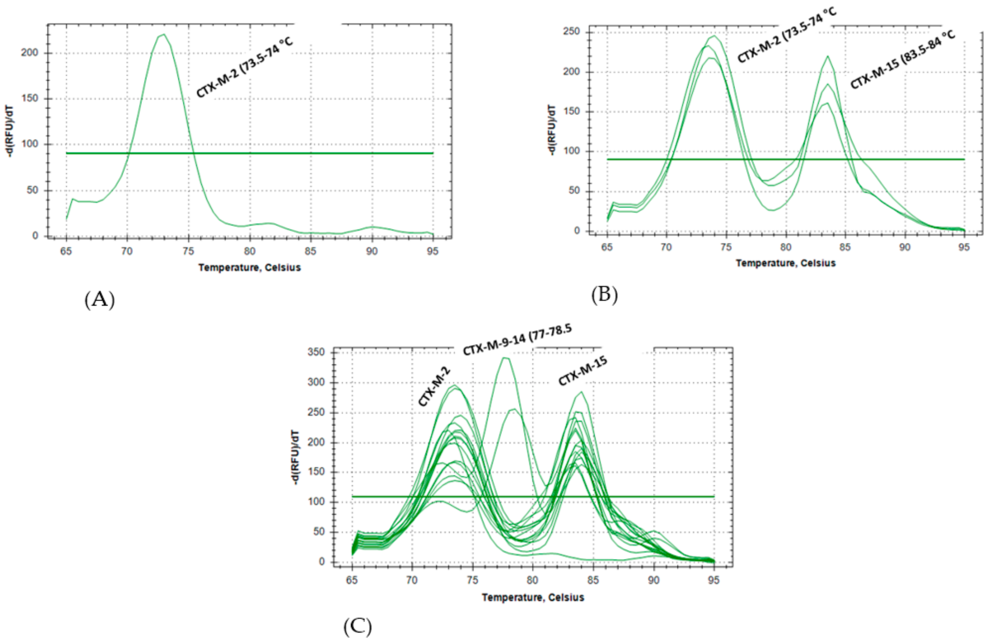 Microorganisms 08 00090 g002