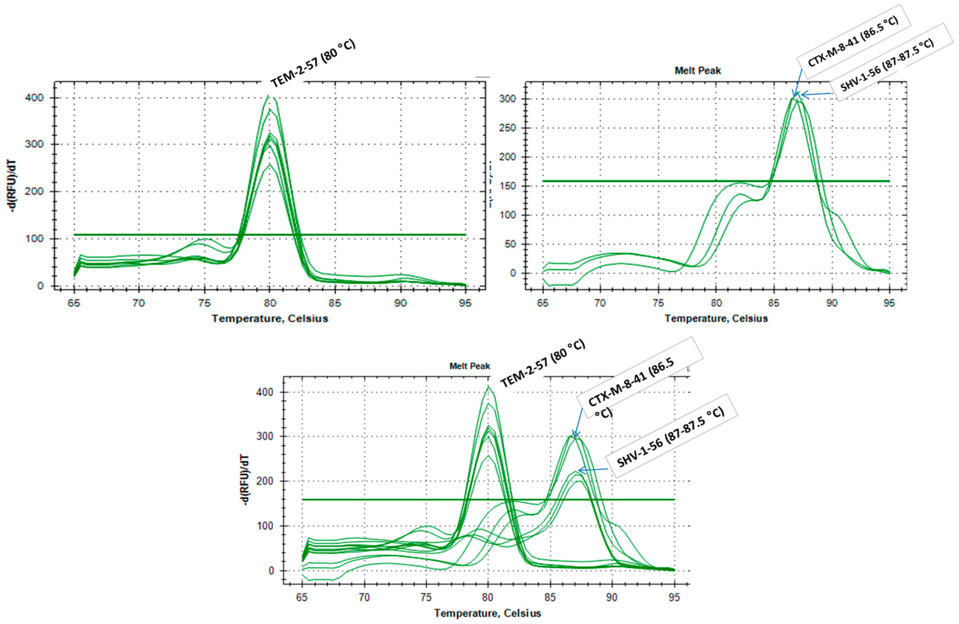 Microorganisms 08 00090 g003