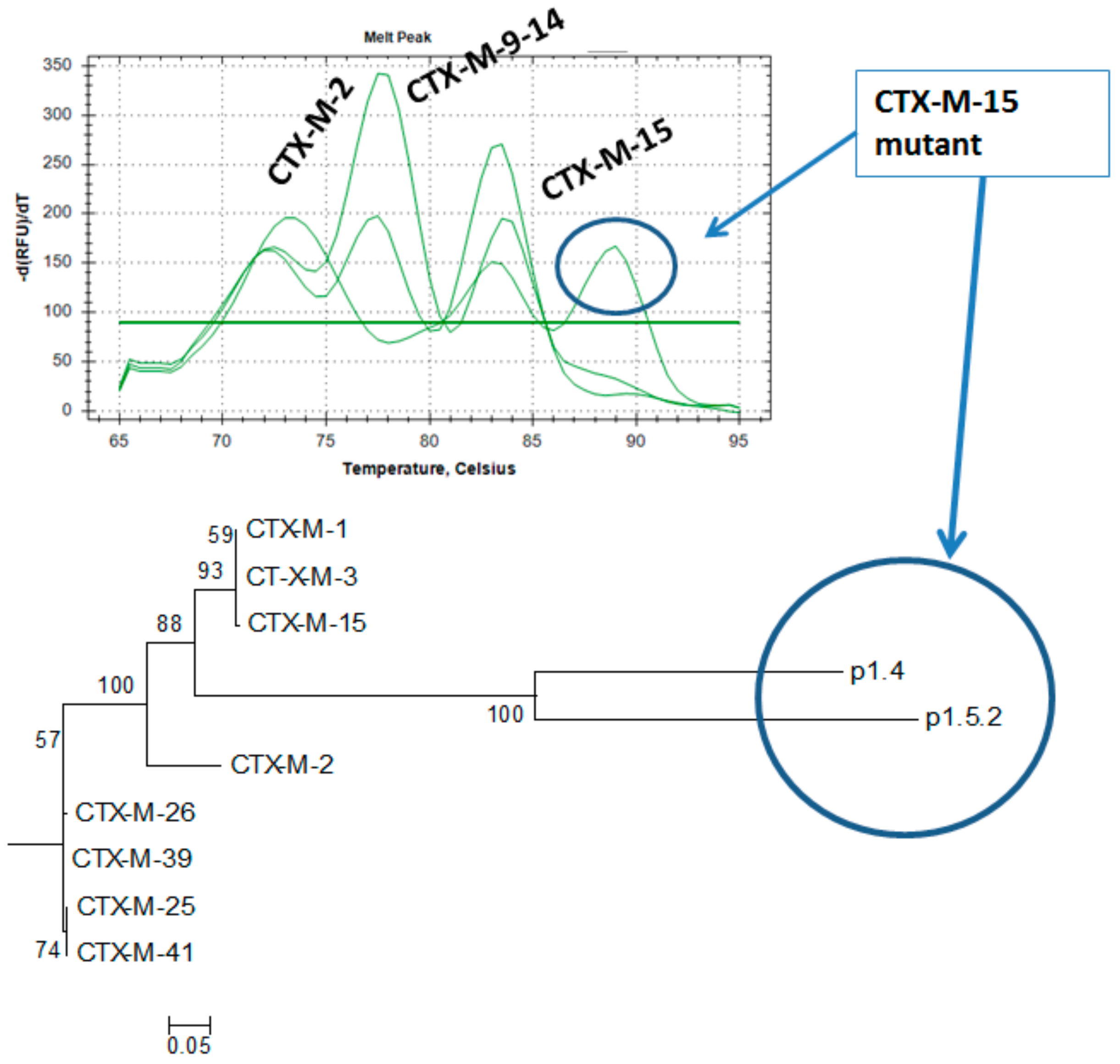 Microorganisms 08 00090 g004