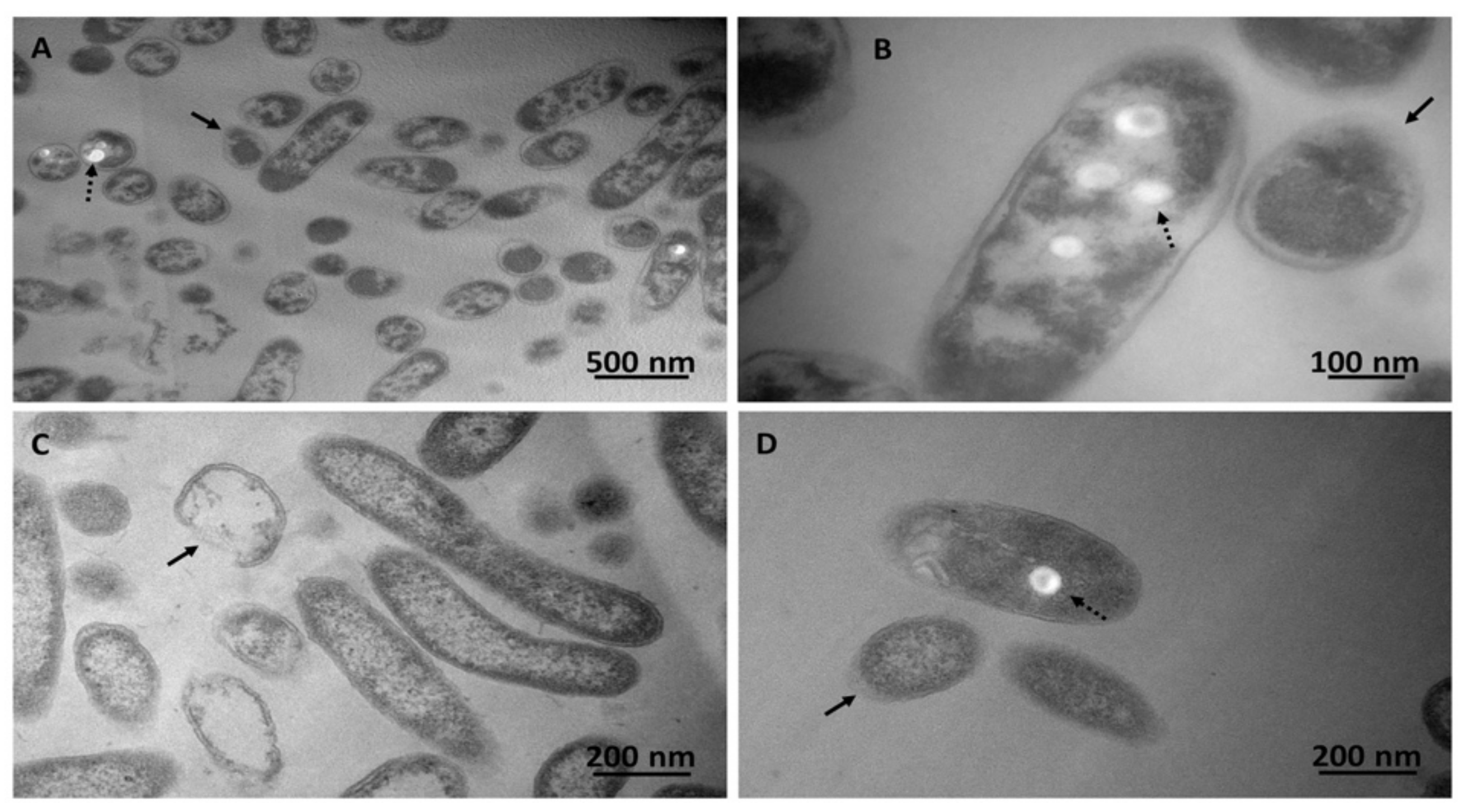 Microorganisms 08 00092 g002 Microorganisms 08 00092 g002