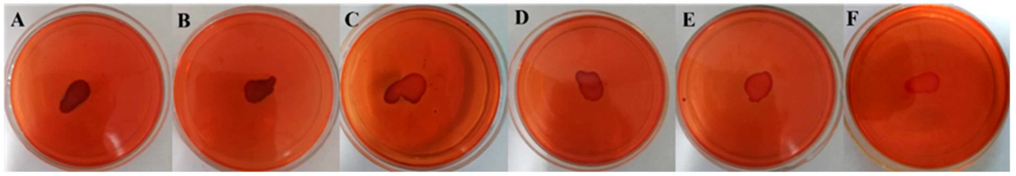 Microorganisms 08 00099 g004