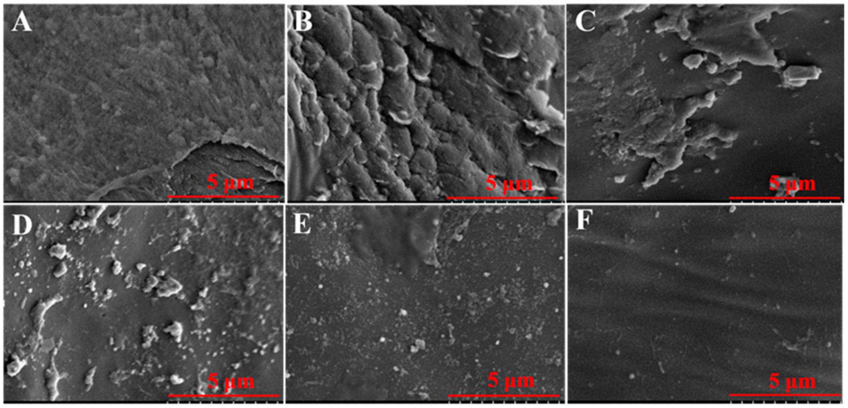 Microorganisms 08 00099 g008