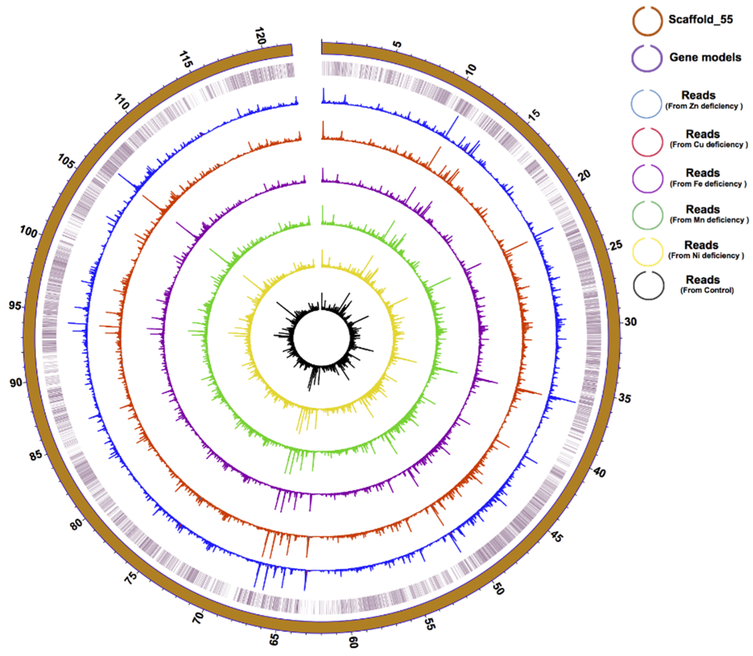 Microorganisms 08 00102 g001