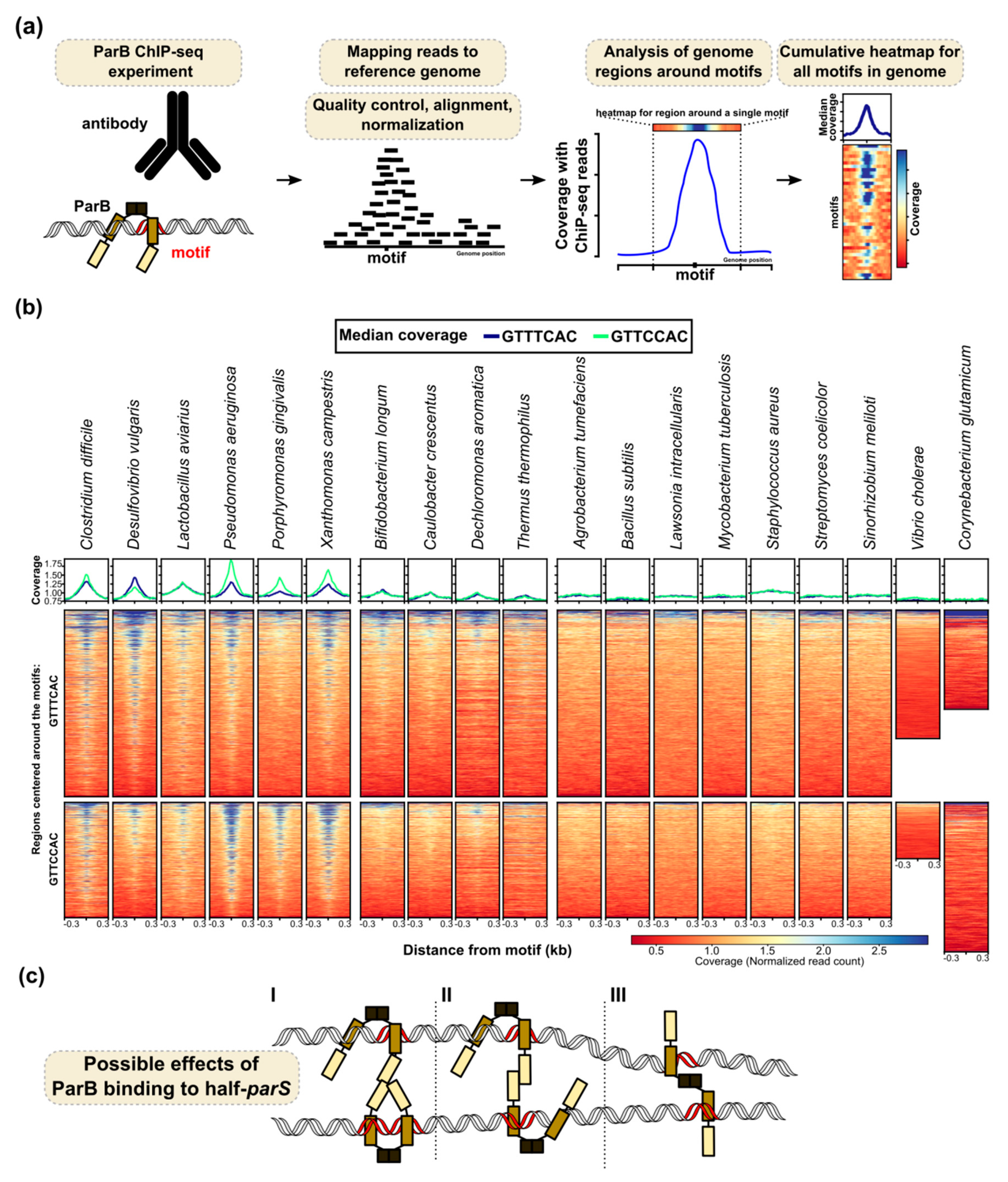 Microorganisms 08 00105 g003 Microorganisms 08 00105 g003