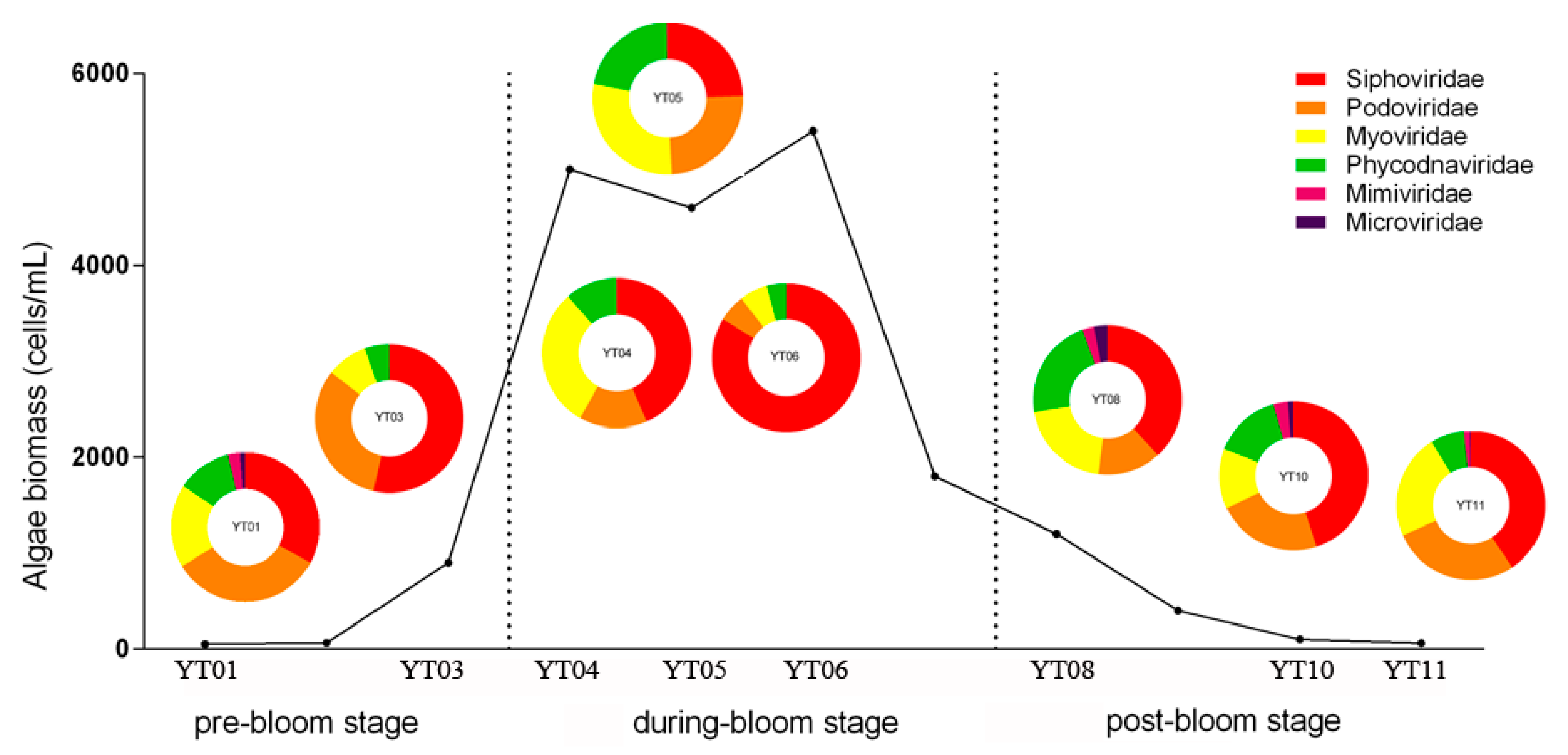 Microorganisms 08 00107 g002