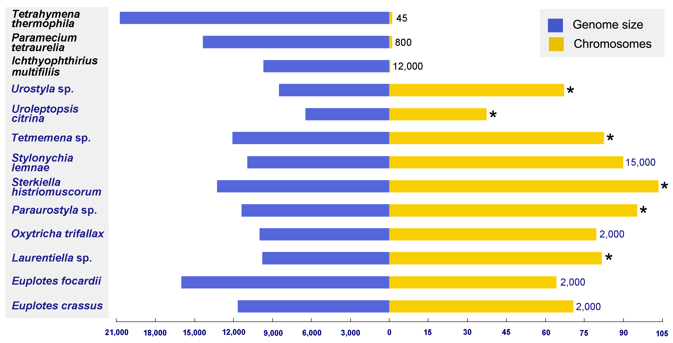Microorganisms 08 00108 g001