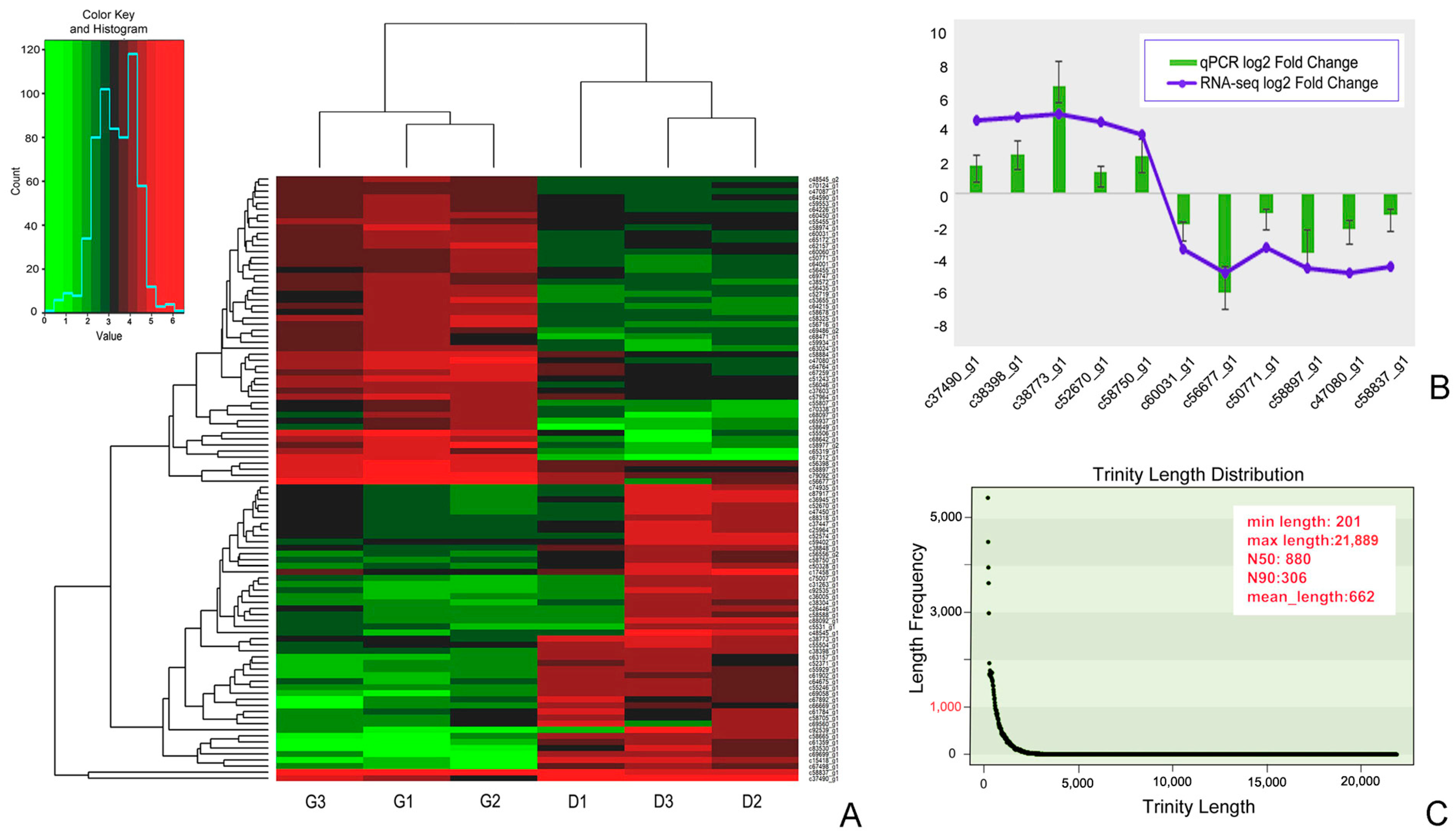 Microorganisms 08 00108 g002