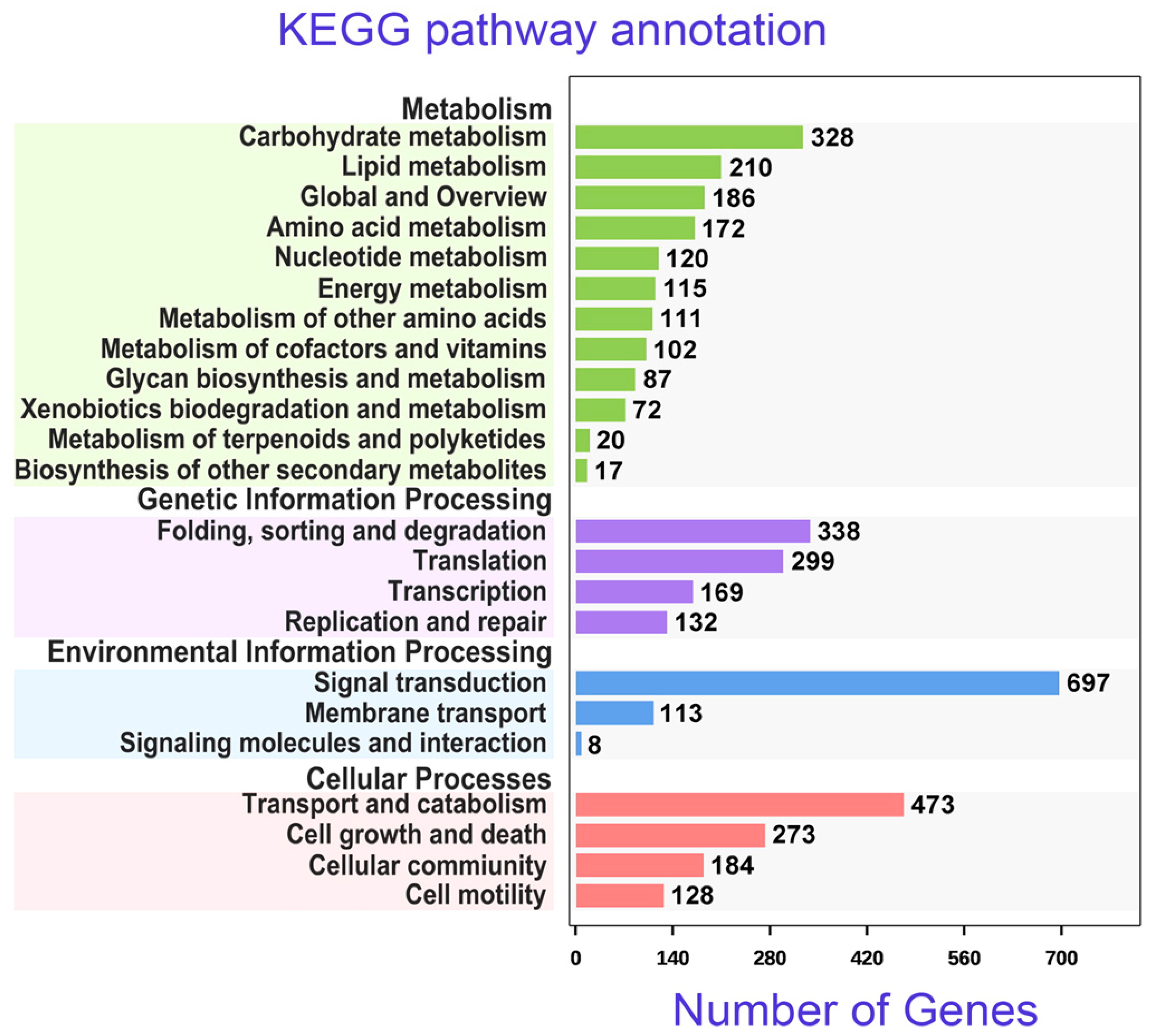 Microorganisms 08 00108 g005