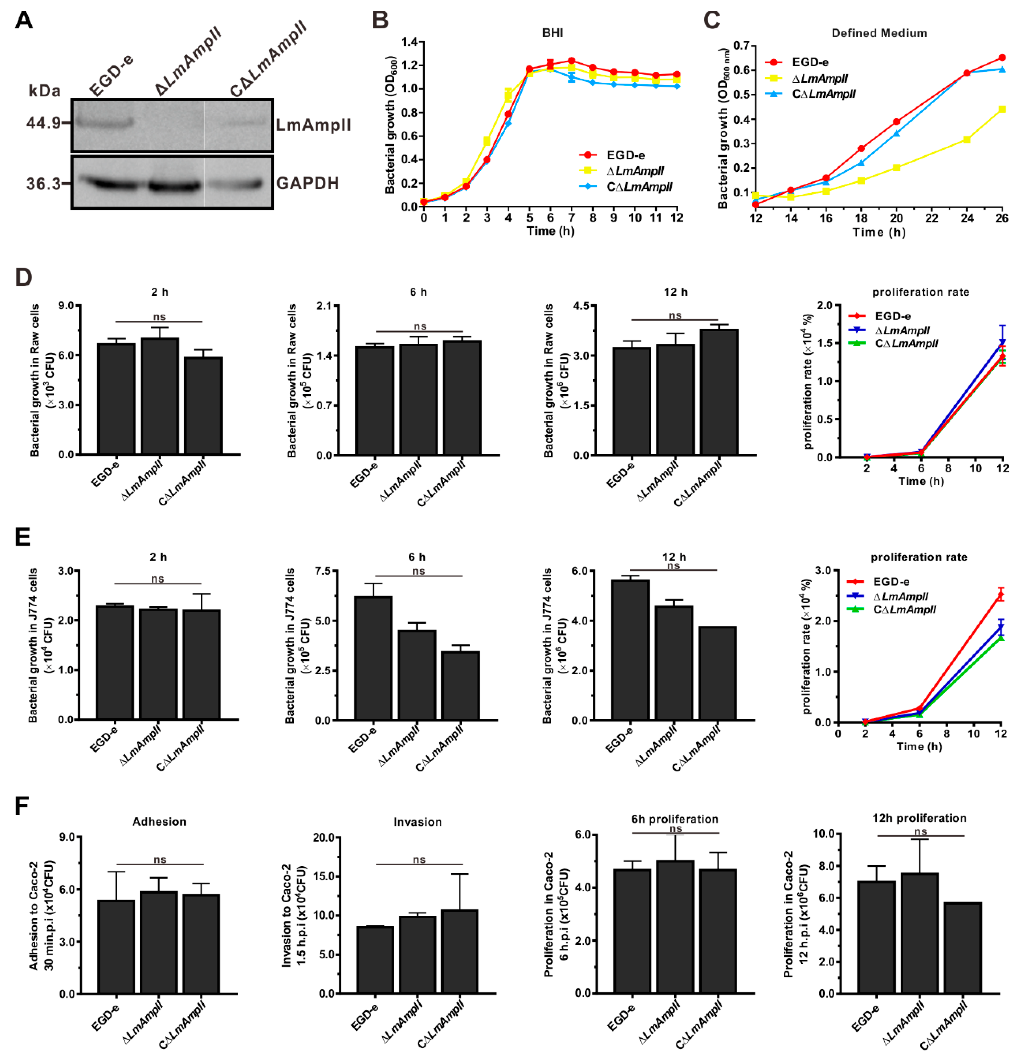 Microorganisms 08 00110 g004