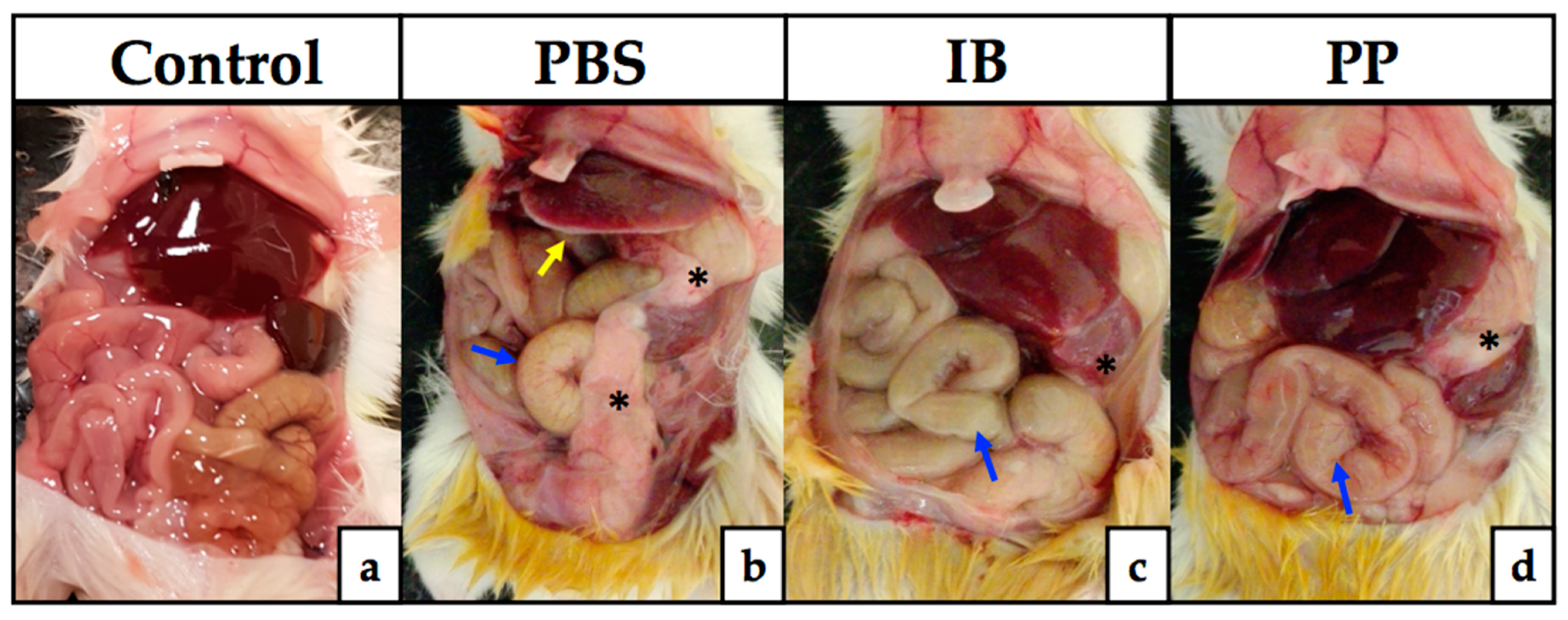 Microorganisms 08 00113 g001