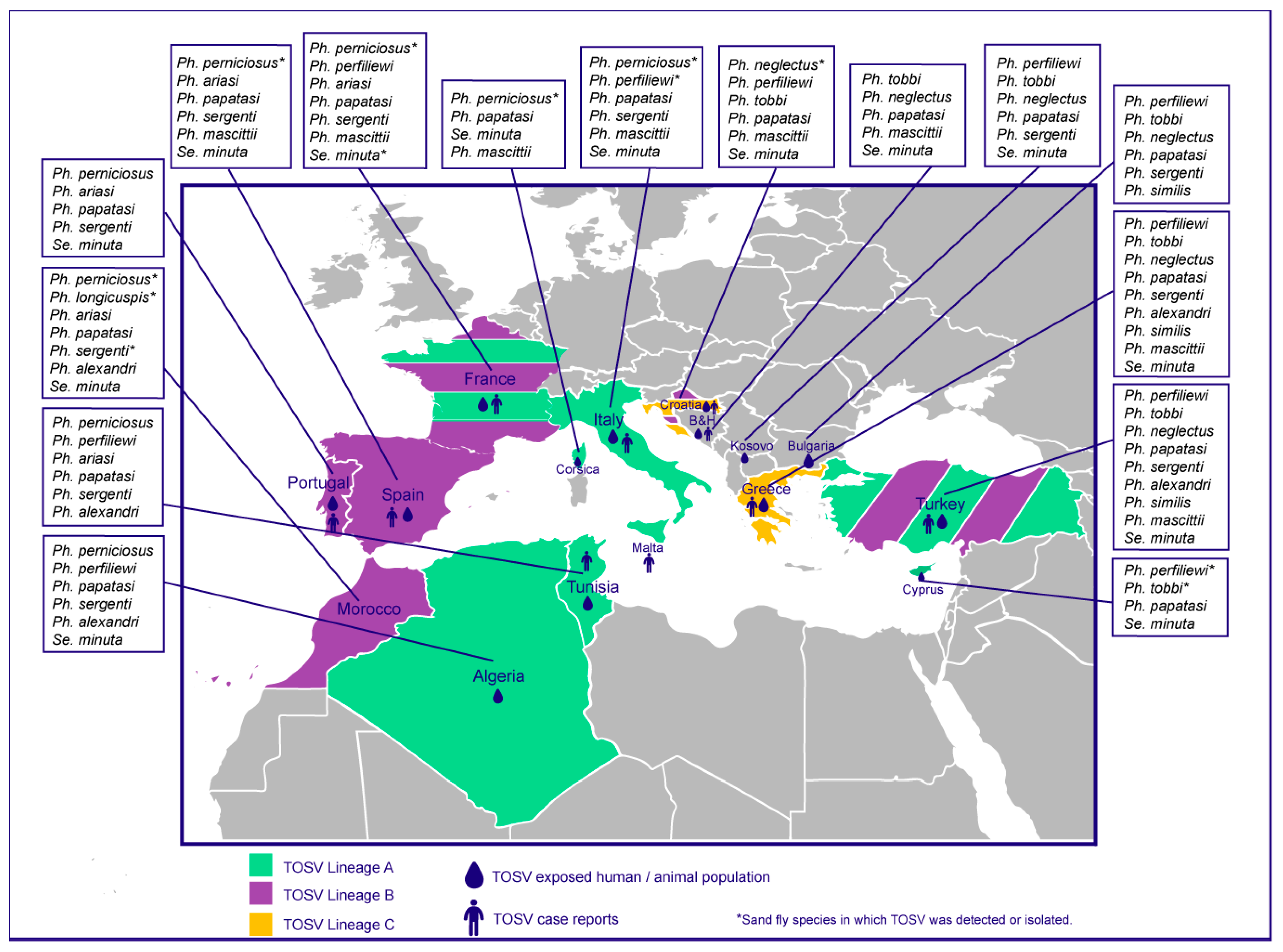 Microorganisms 08 00114 g002