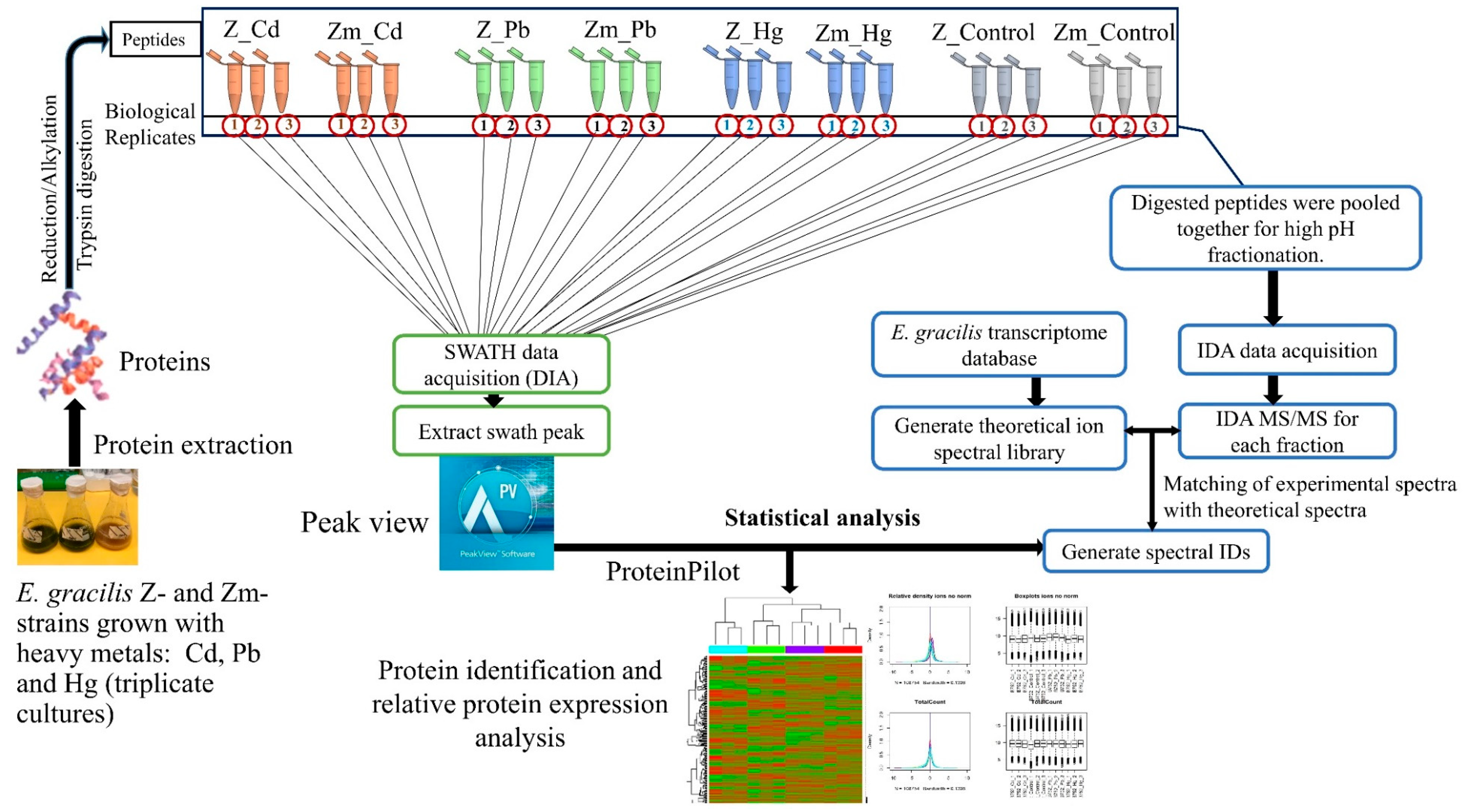 Microorganisms 08 00115 g001 Microorganisms 08 00115 g001