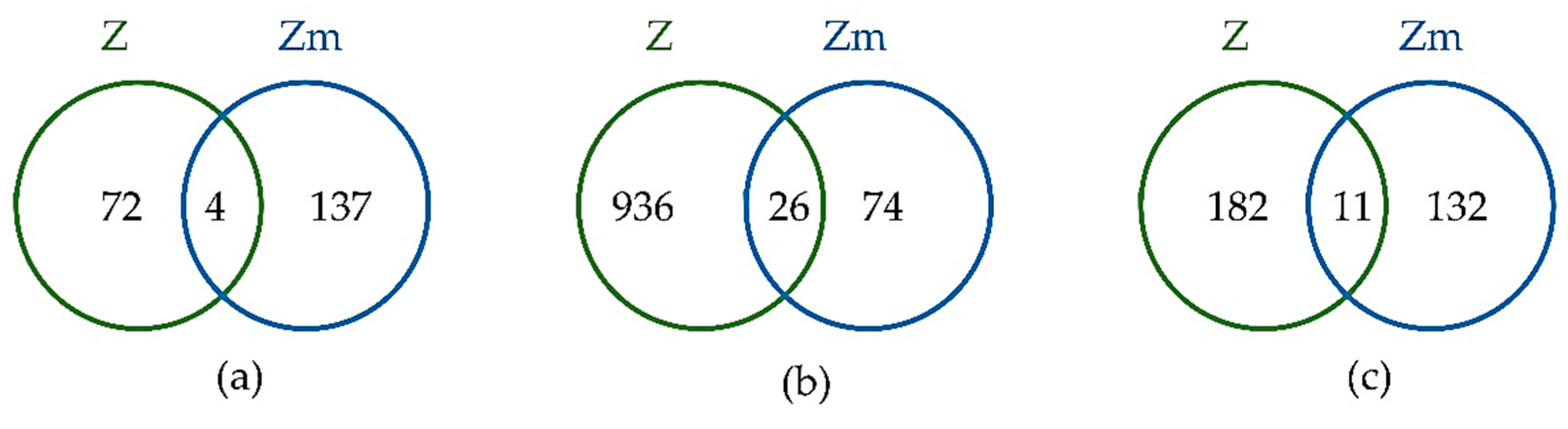 Microorganisms 08 00115 g006 Microorganisms 08 00115 g006
