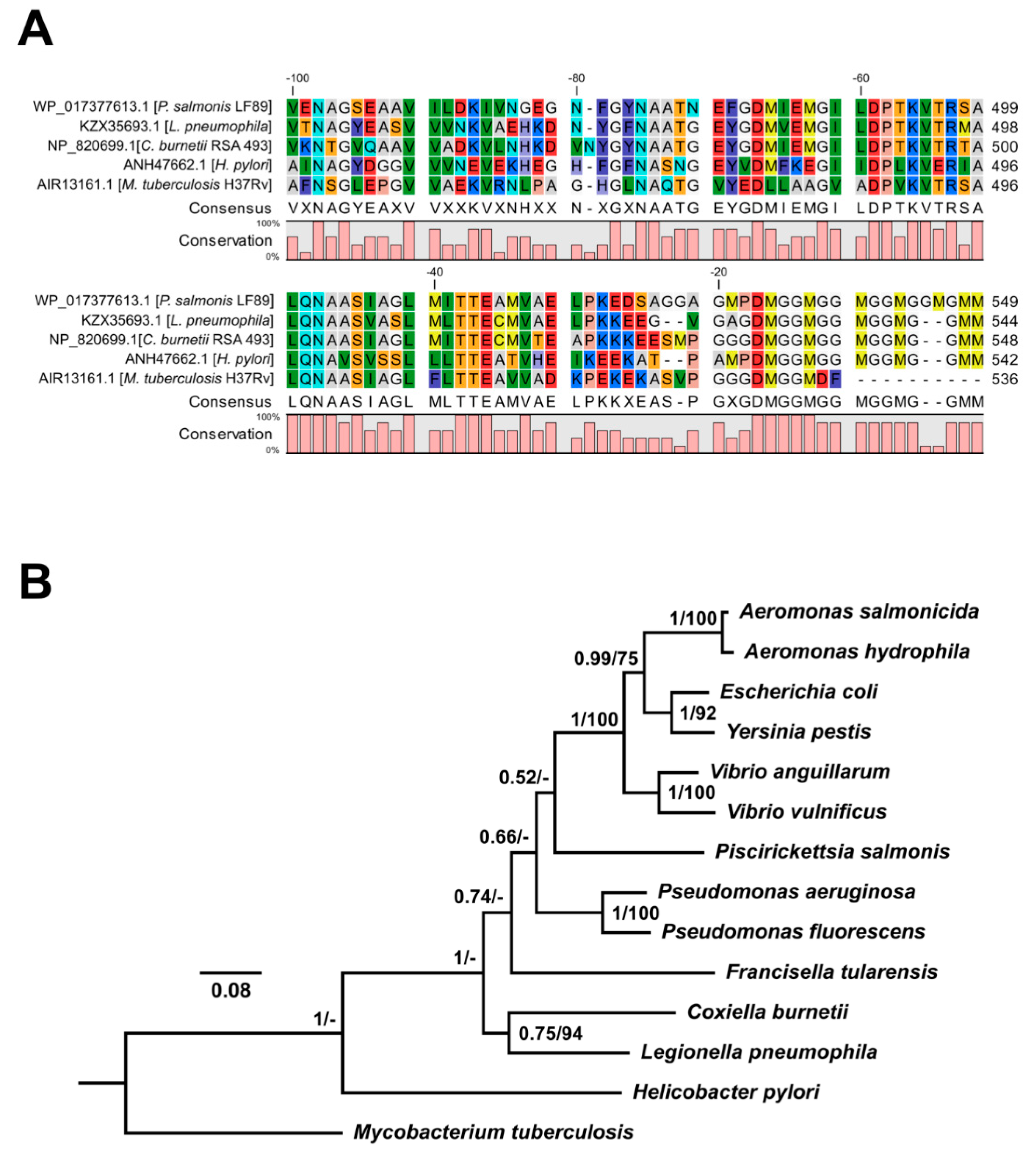 Microorganisms 08 00117 g002 Microorganisms 08 00117 g002