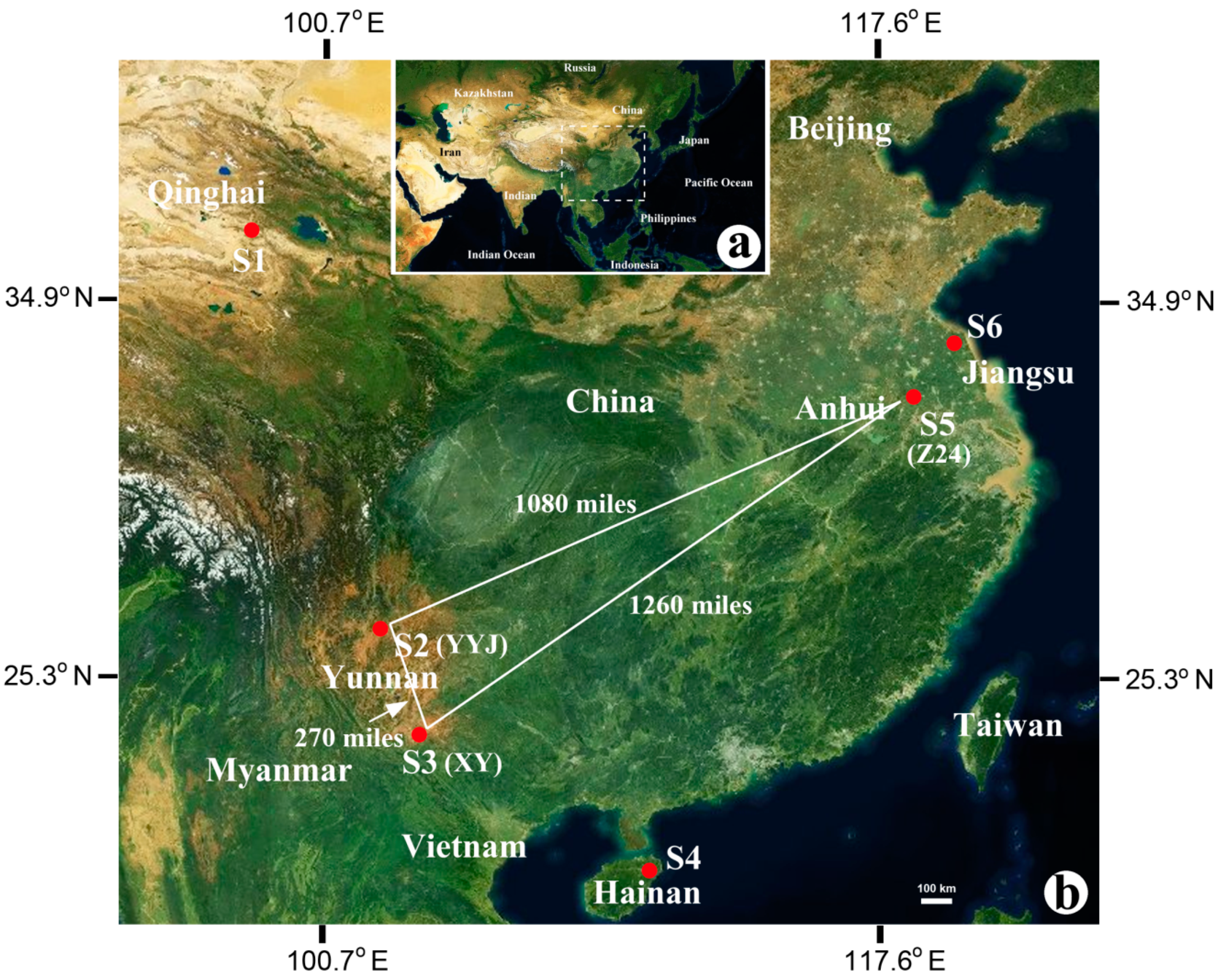 Microorganisms 08 00120 g001